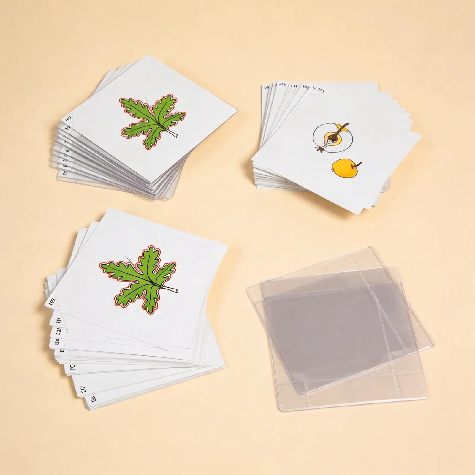 Botany Cards Set 3: Advanced Plant Studies & Classification: Side view