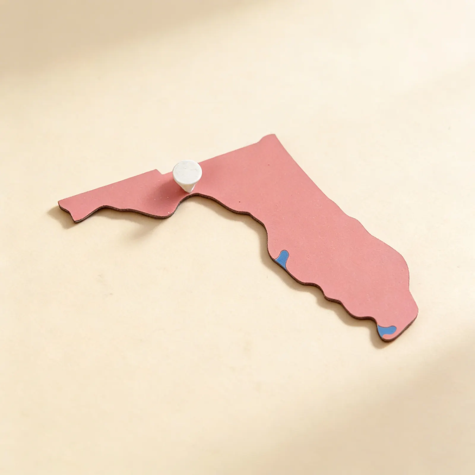 Puzzle dílek USA: Florida: Boční pohled