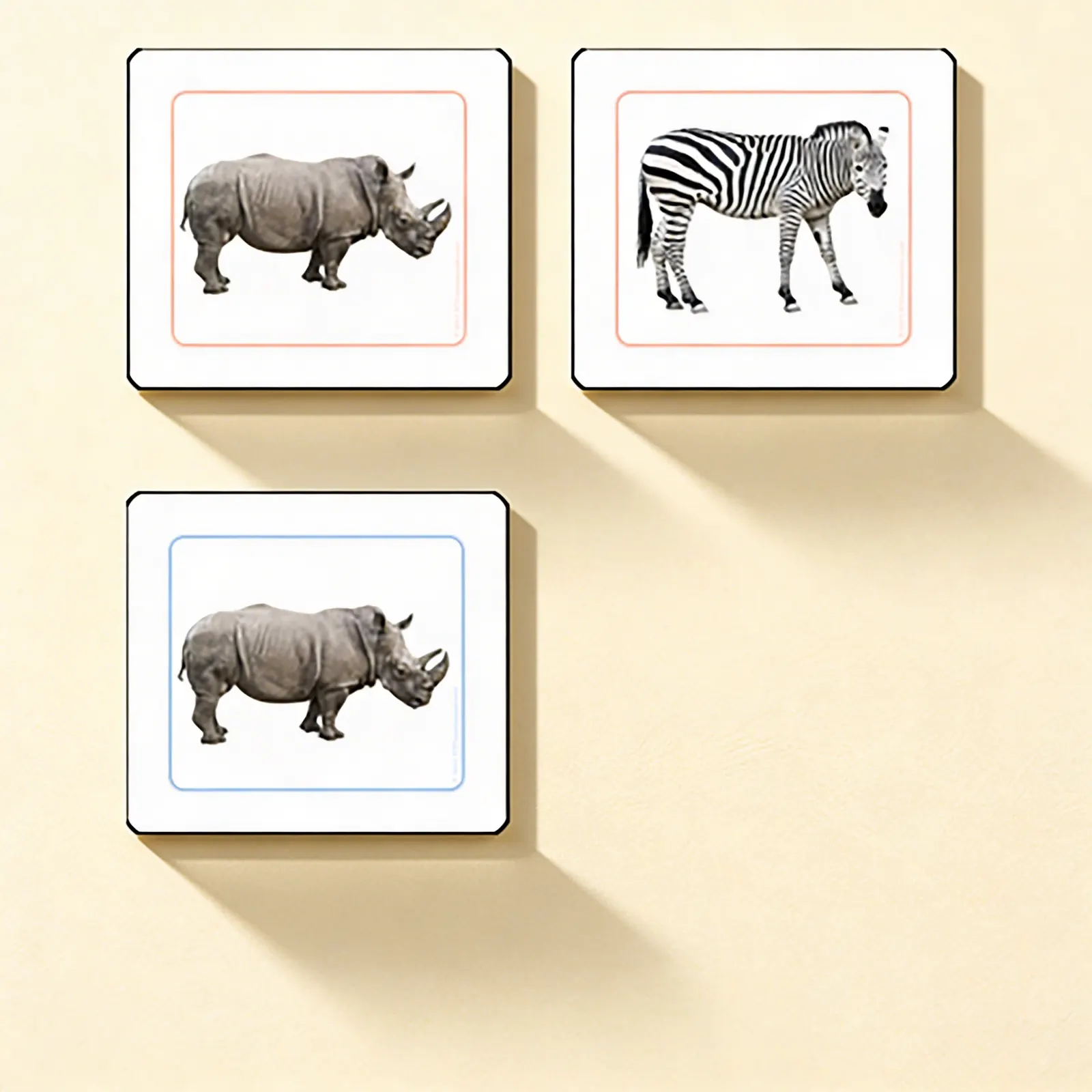 Přiřazovací karty afrických zvířat: Boční pohled
