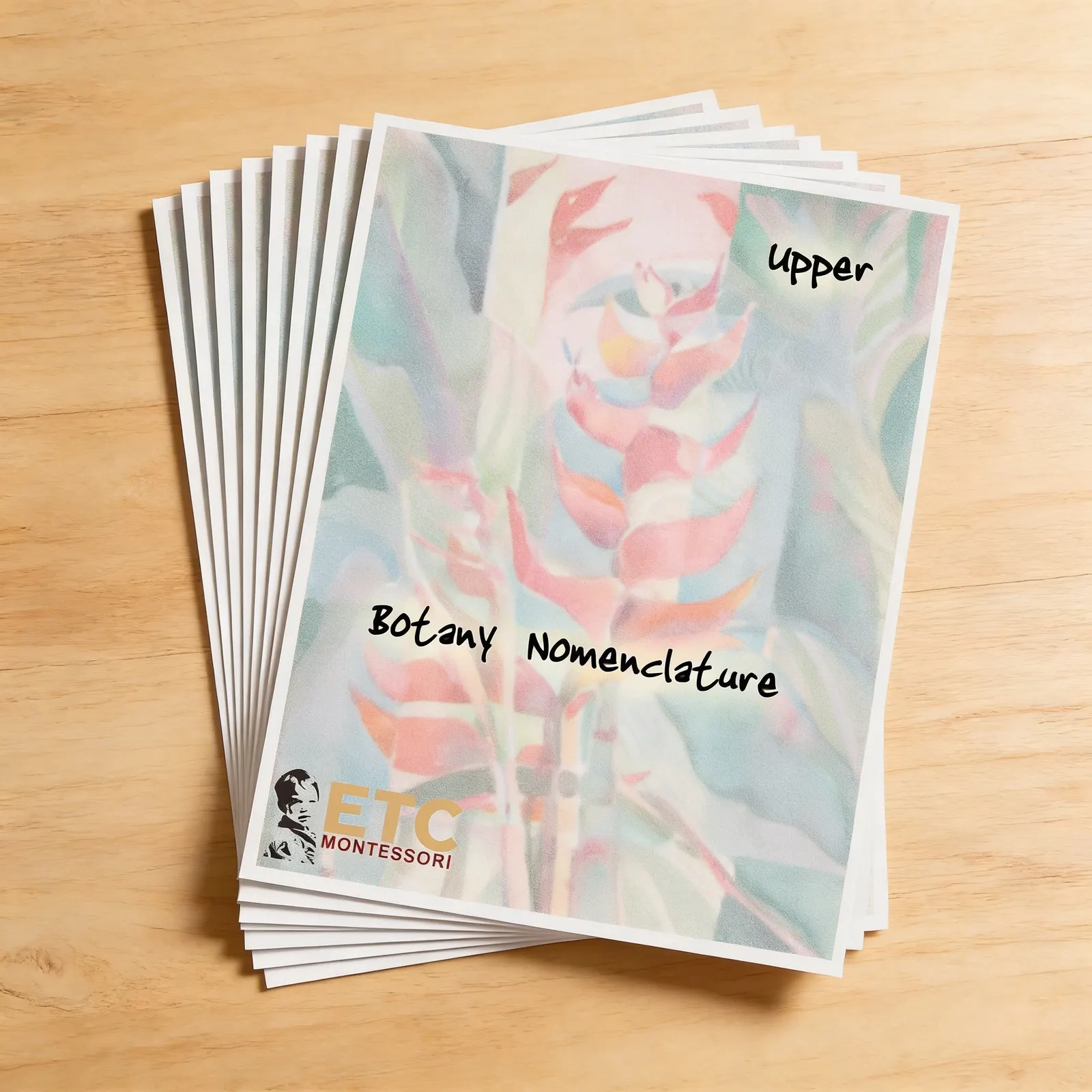 Upper Elementary Botany Cards: Advanced Plant Nomenclature: Side view