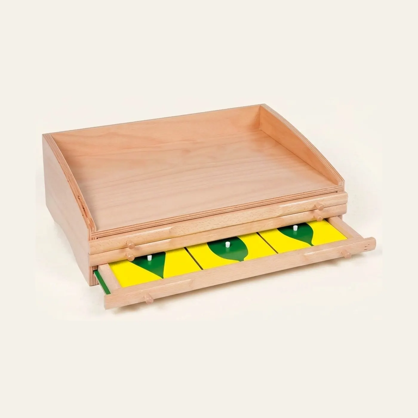 Botany Cabinet: Leaf Shape Exploration & Visual Discrimination