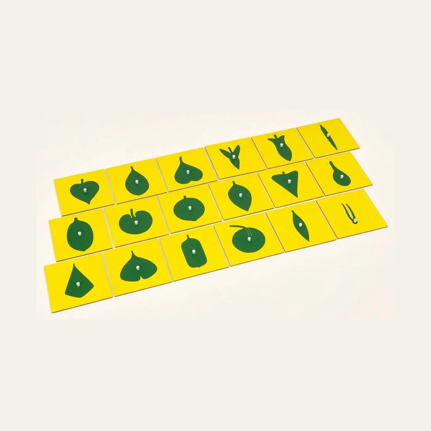 Contents Of The Botany Cabinet: Montessori material | Faborino