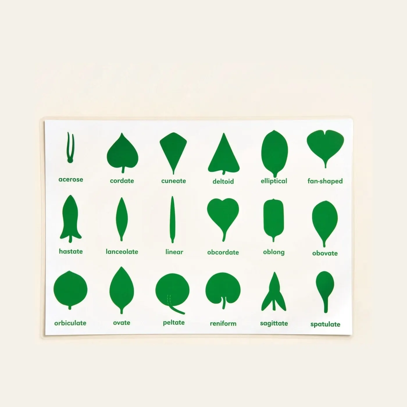 Botany Cabinet Control Chart: Montessori material | Faborino