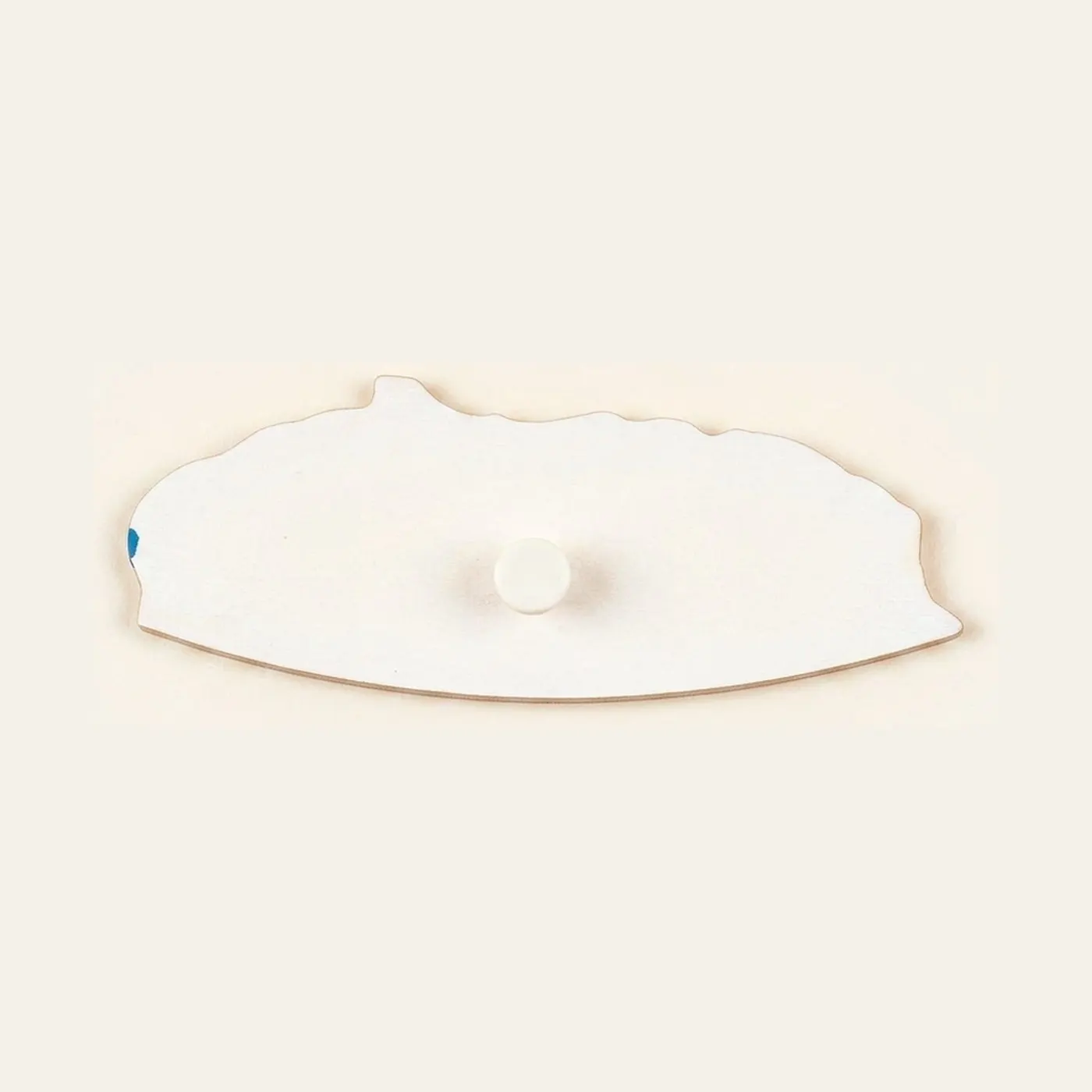 Puzzle Piece Of World Parts: Antarctica East: Montessori material | Faborino