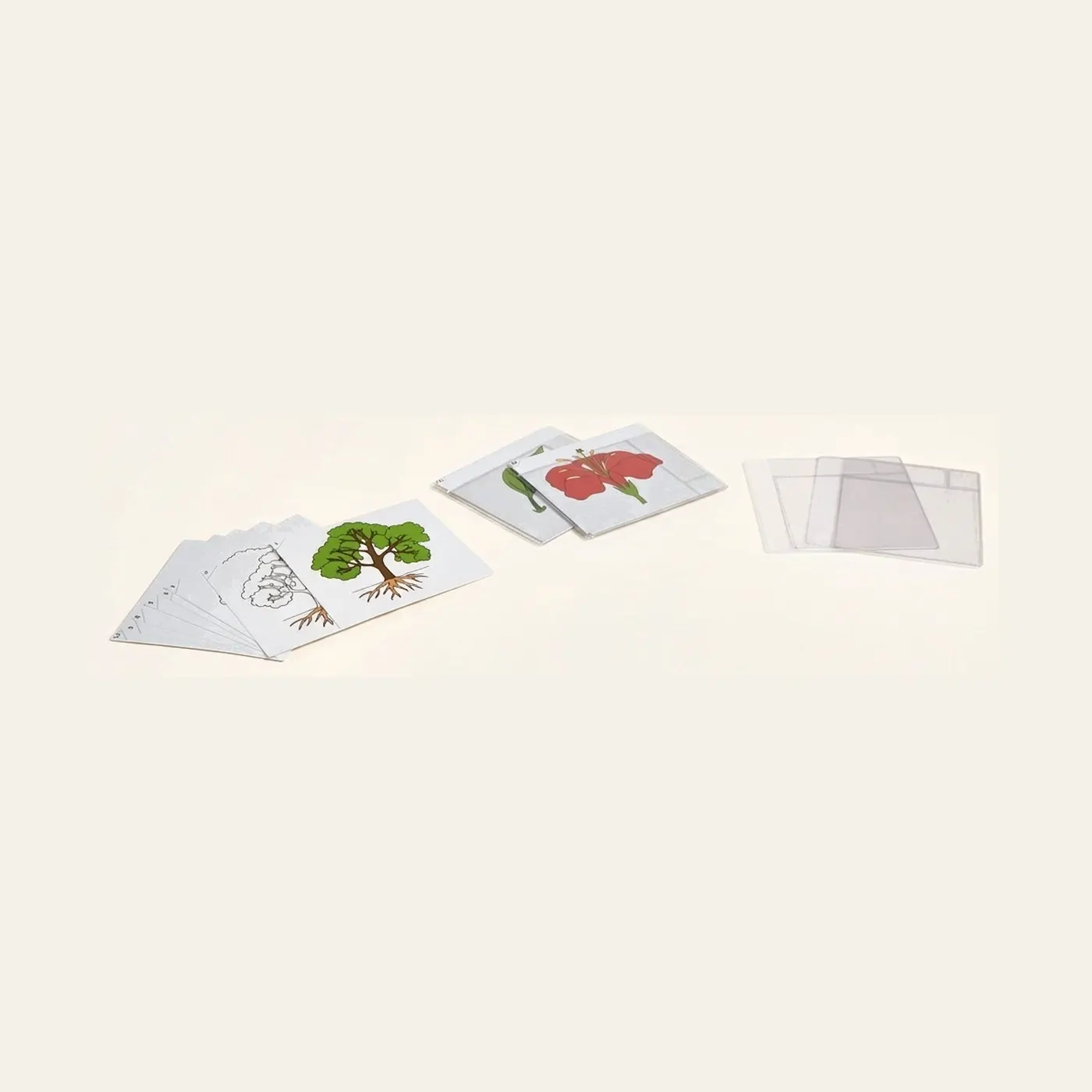 First Set Of Botany Cards: Montessori material | Faborino