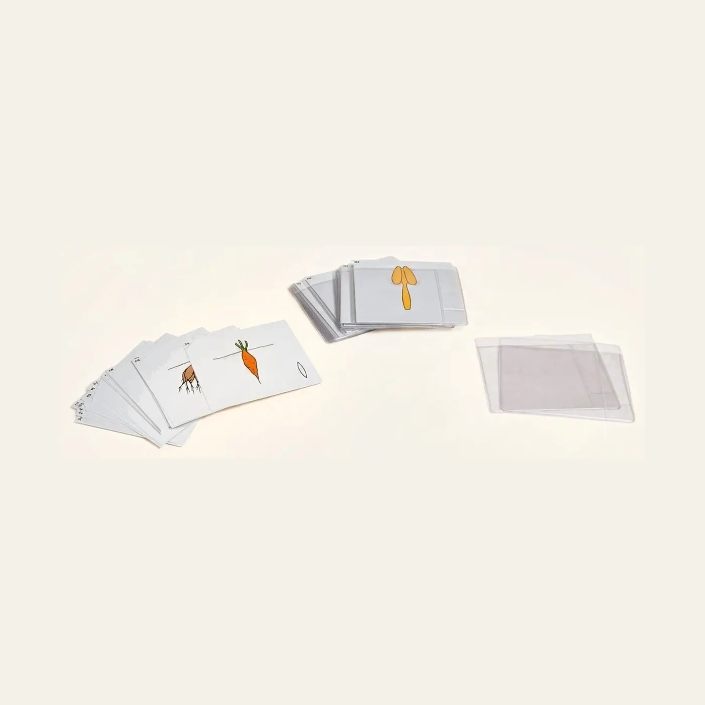 Second Set Of Botany Cards: Montessori material | Faborino