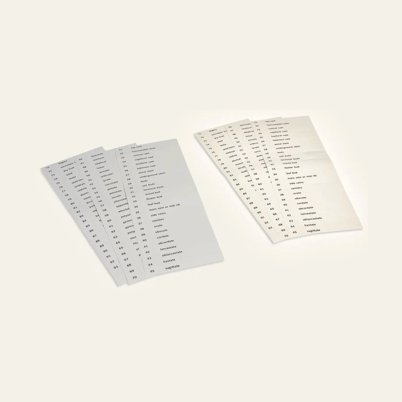 Name Cards: Second Set Of Botany Cards: Montessori material | Faborino