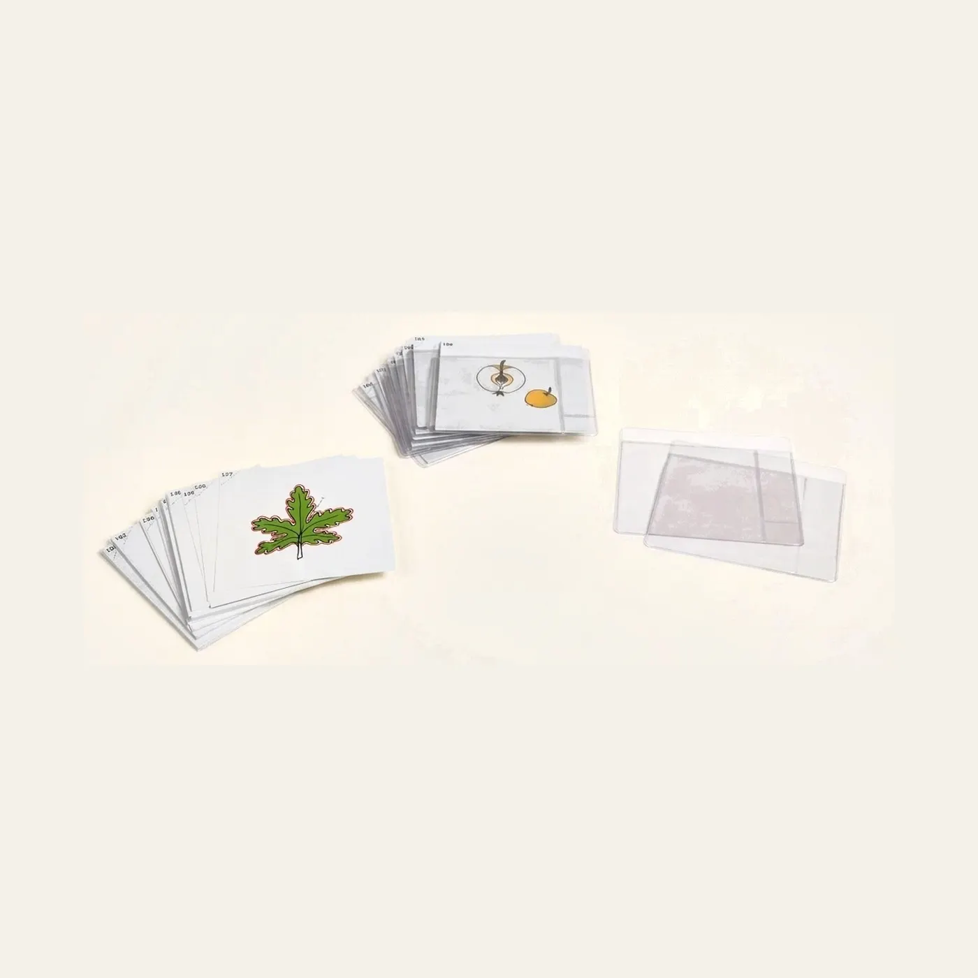 Botany Cards Set 3: Advanced Plant Studies & Classification: Montessori material | Faborino