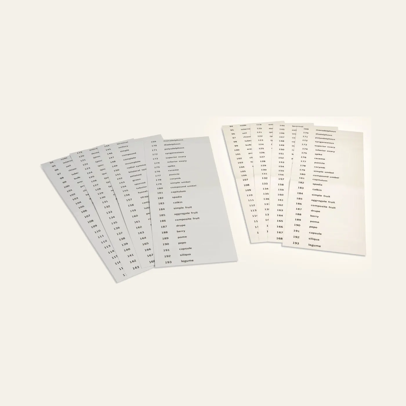 Name Cards: Third Set Of Botany Cards: Montessori material | Faborino