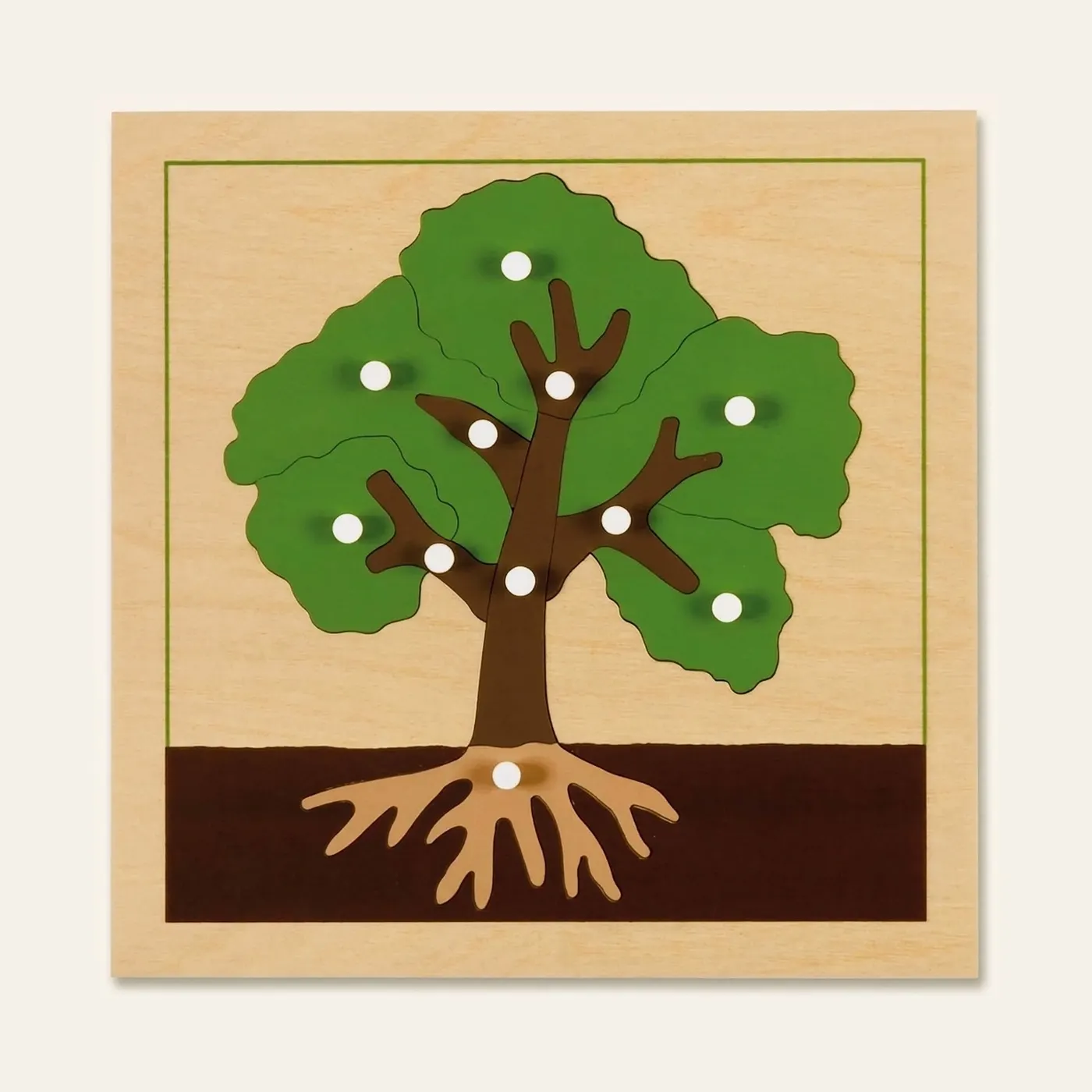 Botany Puzzle: Tree: Montessori material | Faborino