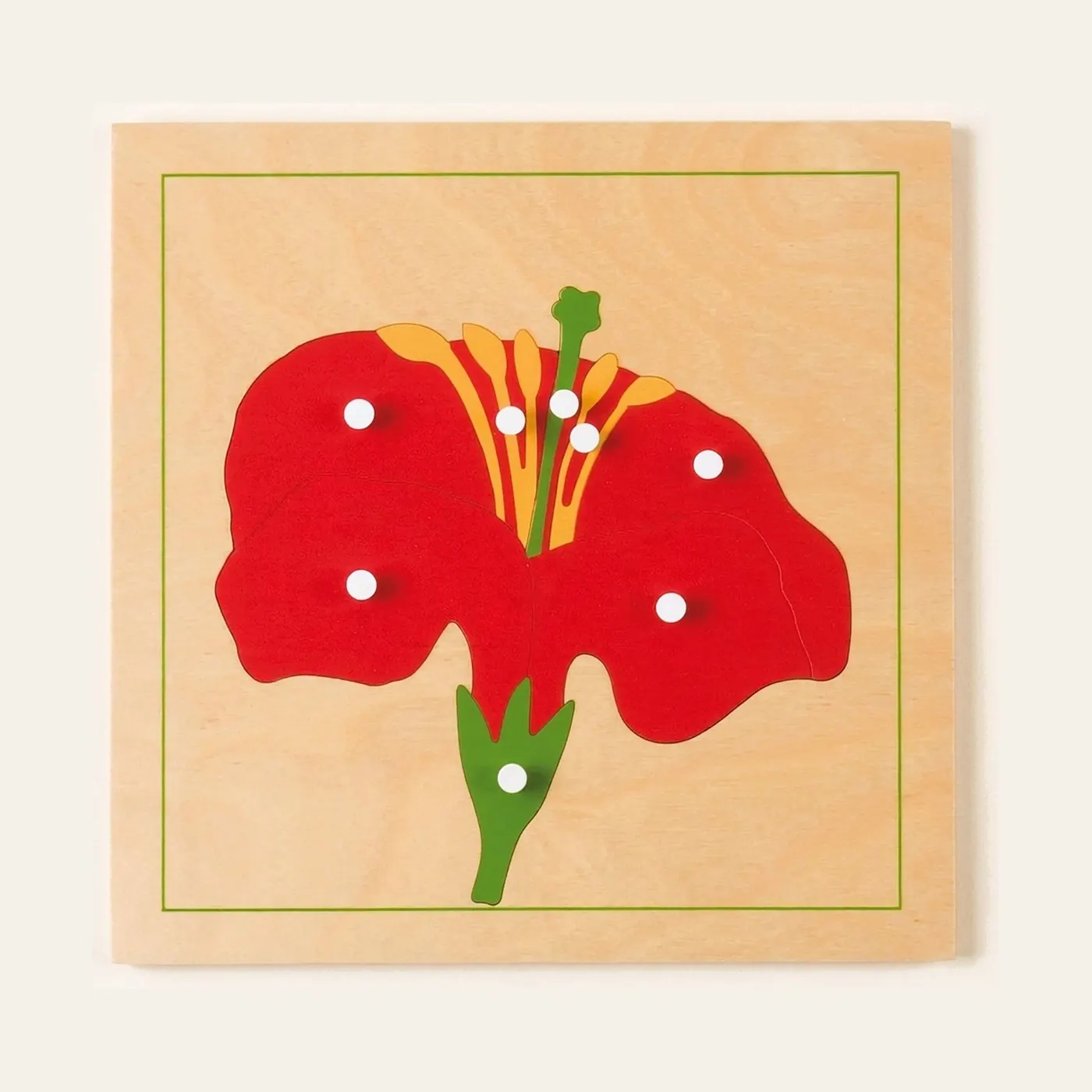 Botany Puzzle: Flower: Montessori material | Faborino