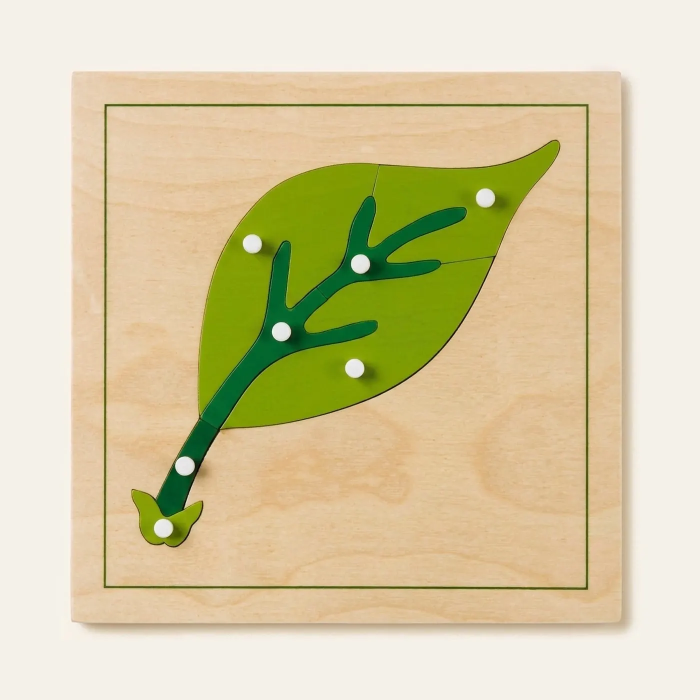 Botany Puzzle: Leaf: Montessori material | Faborino