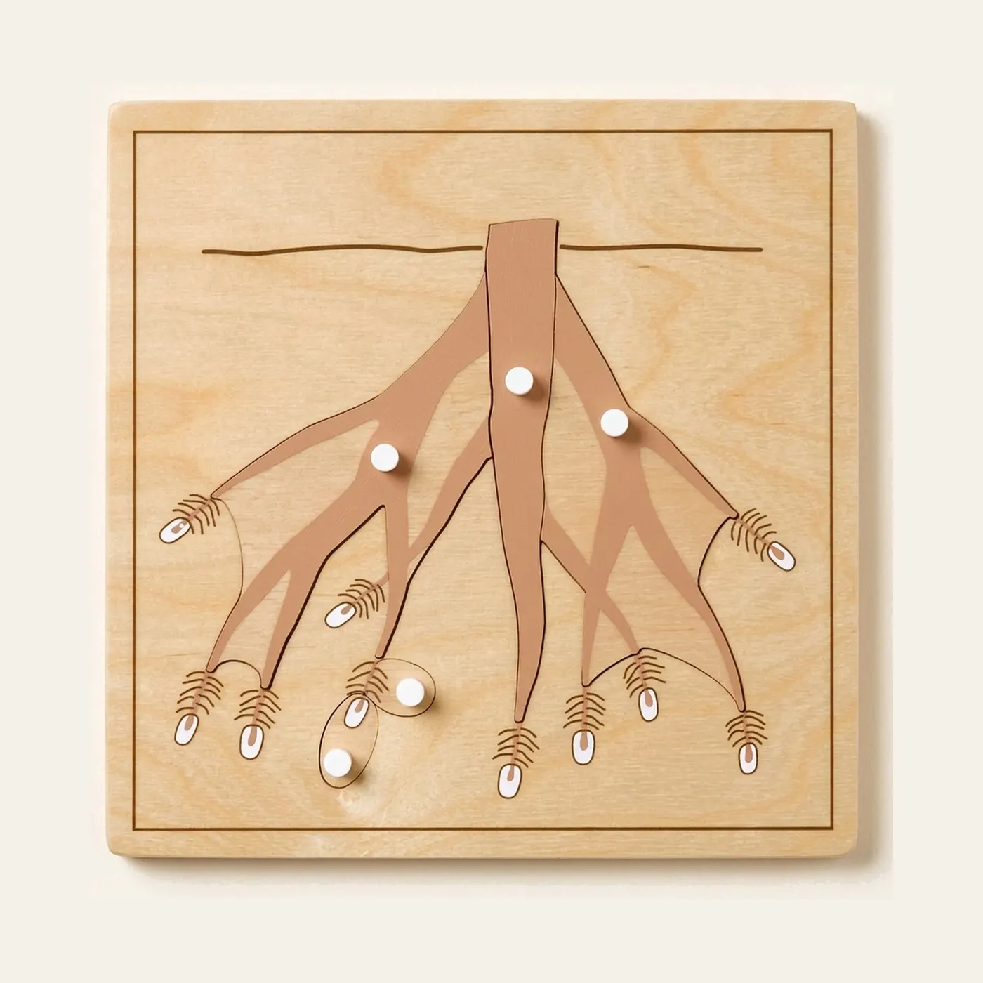 Botany Puzzle: Root: Montessori material | Faborino