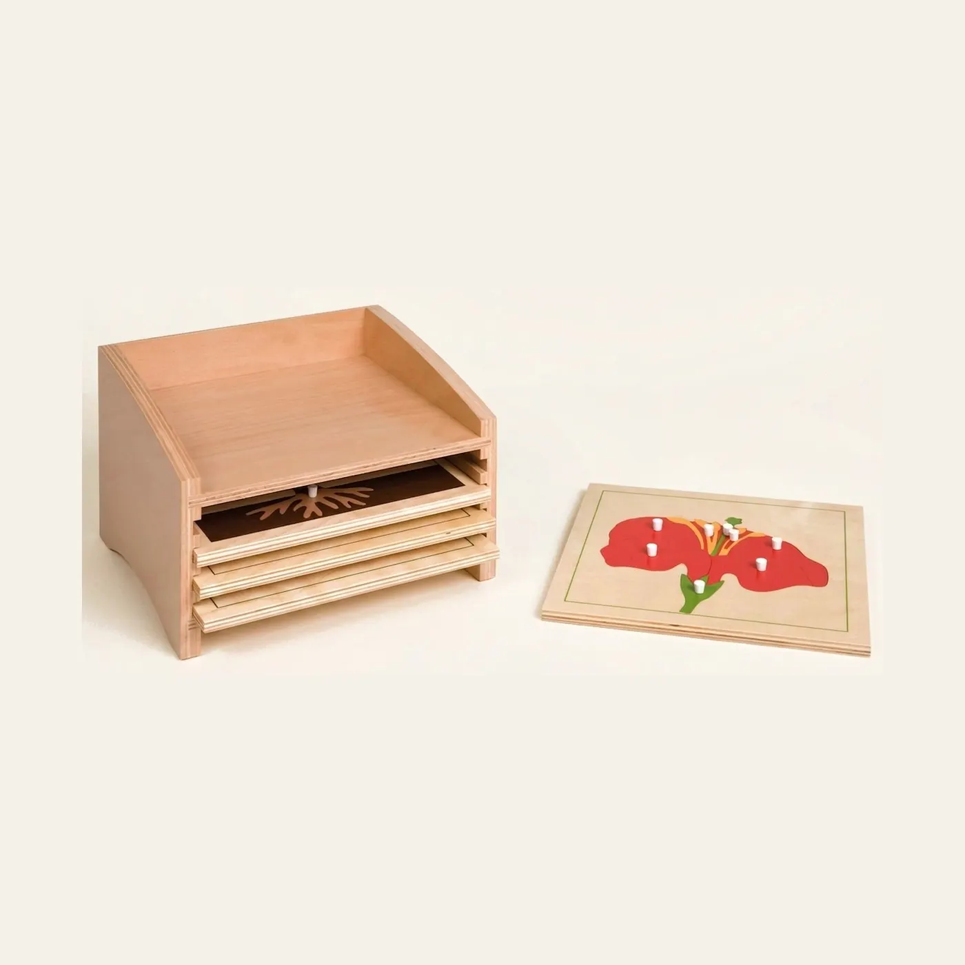Botany Puzzle Cabinet: Four Compartments: Montessori material | Faborino