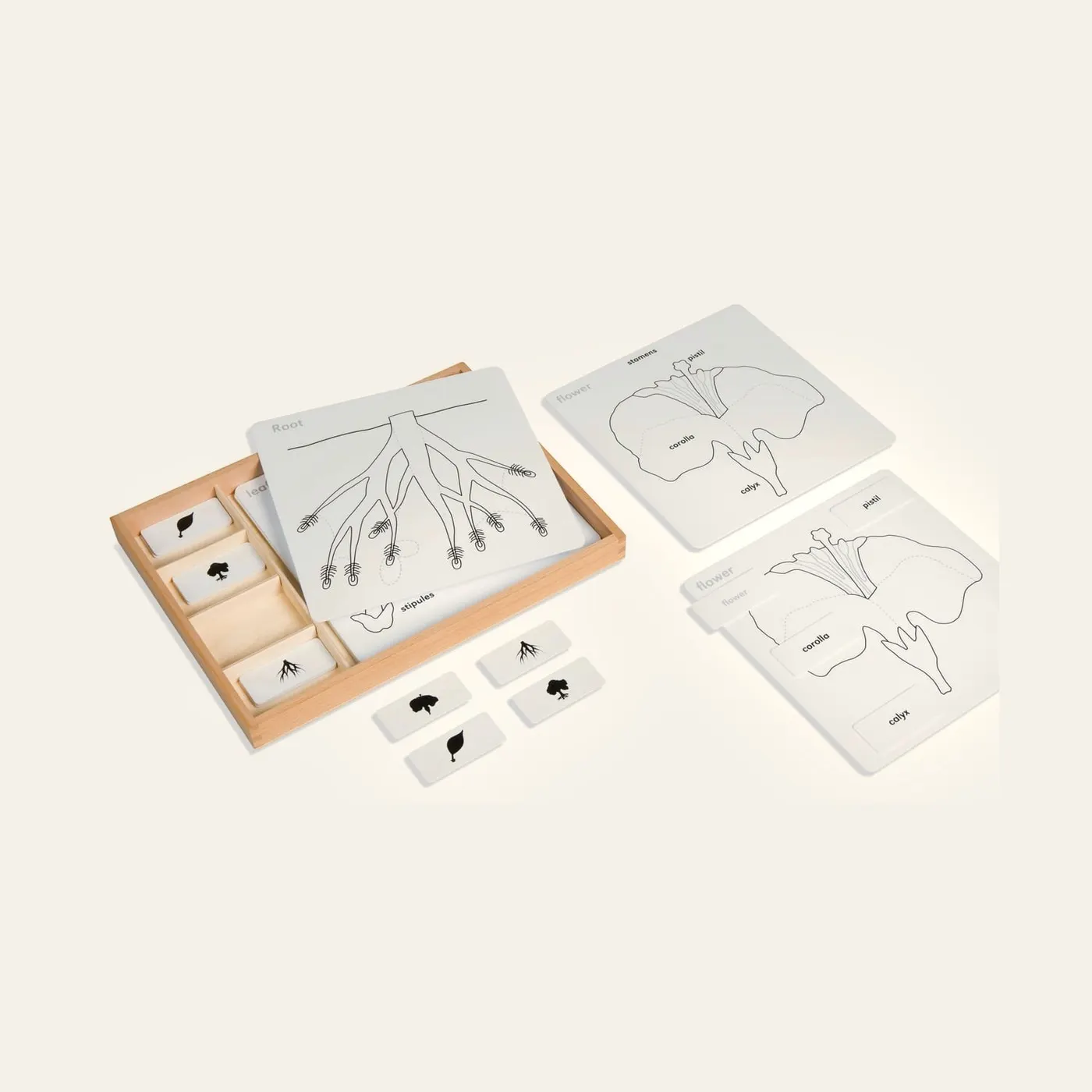 Botany Puzzle Activity Set: Montessori material | Faborino