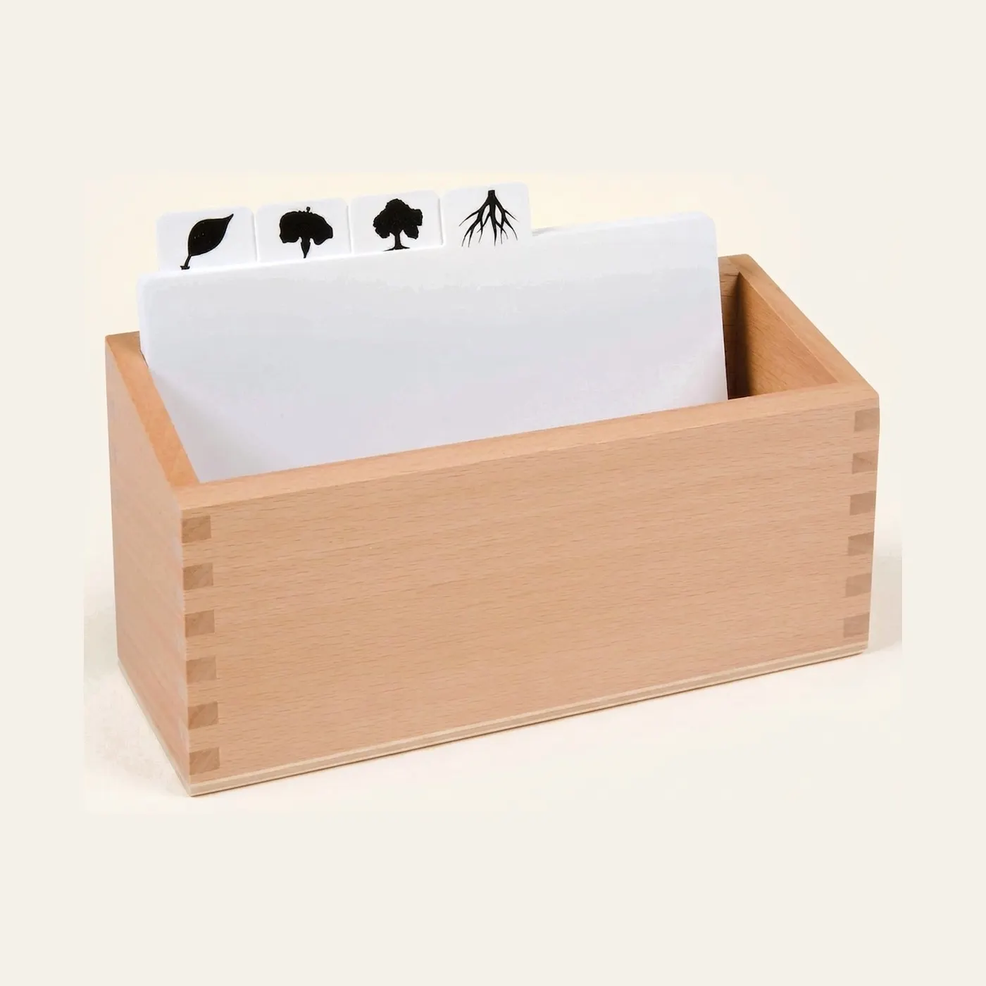 Botany Puzzle Copy Masters Box: Templates for Cabinet Extensions: Montessori material | Faborino