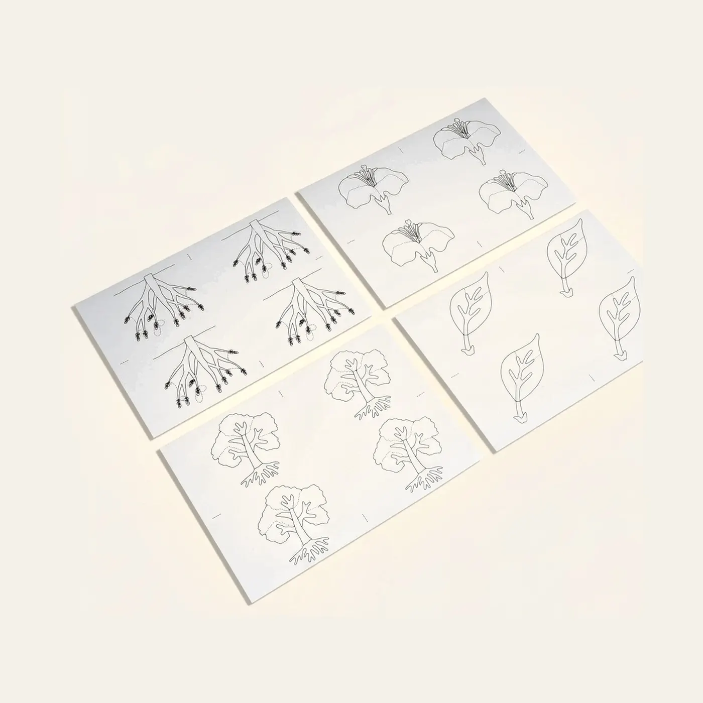 Botany Puzzle: Copy Masters: Montessori material | Faborino