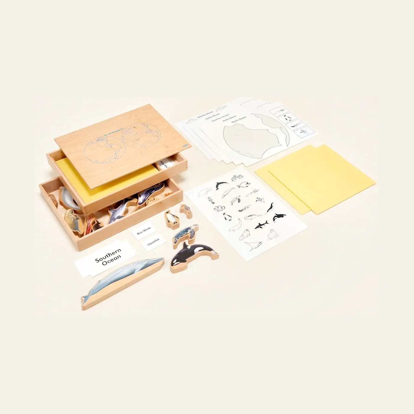 Animal Ocean Box: Marine Life Classification & Vocabulary: Montessori material | Faborino
