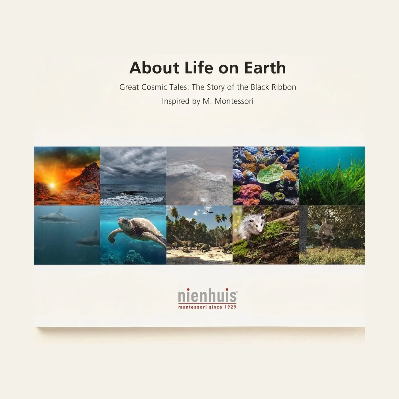 About Life On Earth: Montessori material | Faborino