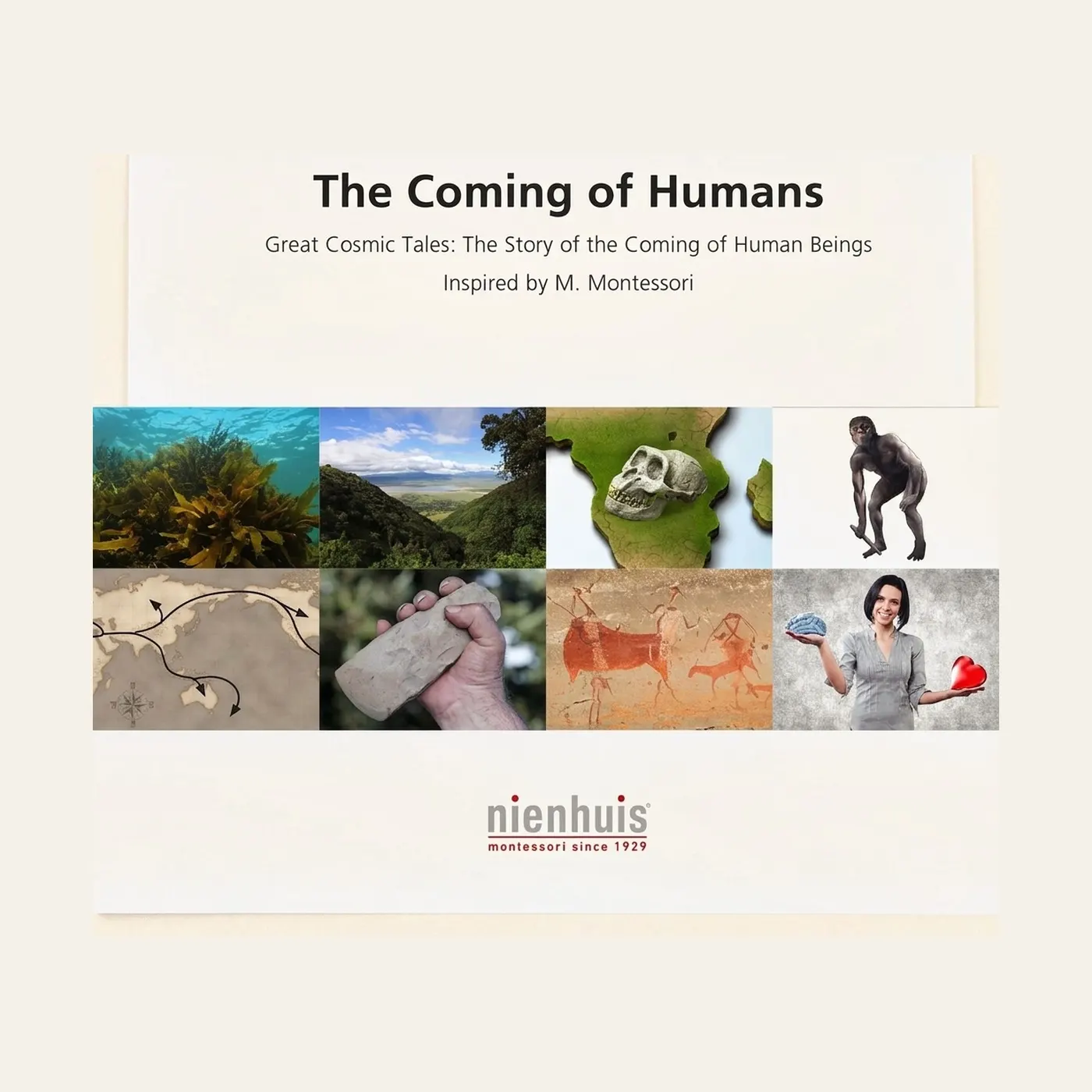 The Coming Of Humans: Montessori material | Faborino