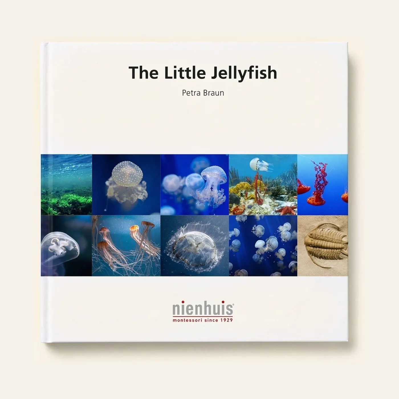 The Little Jellyfish: Montessori material | Faborino