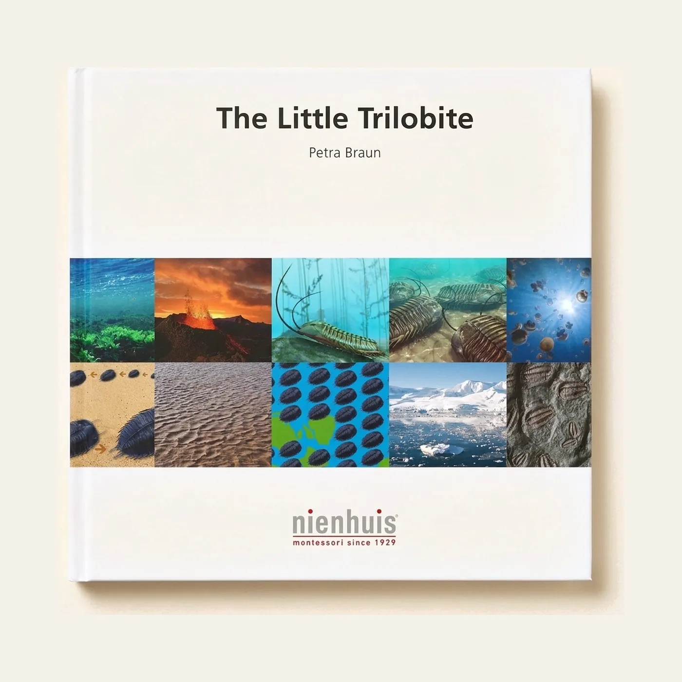 The Little Trilobite: Montessori material | Faborino