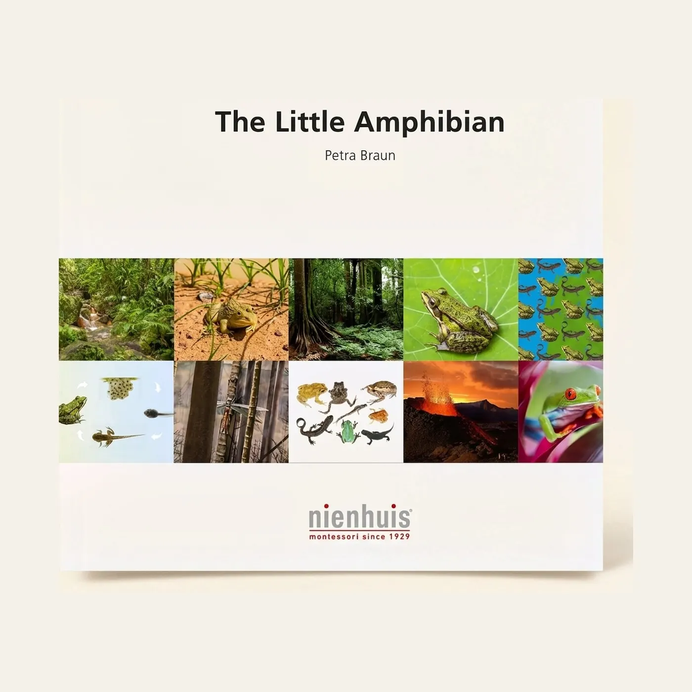 The Little Amphibian