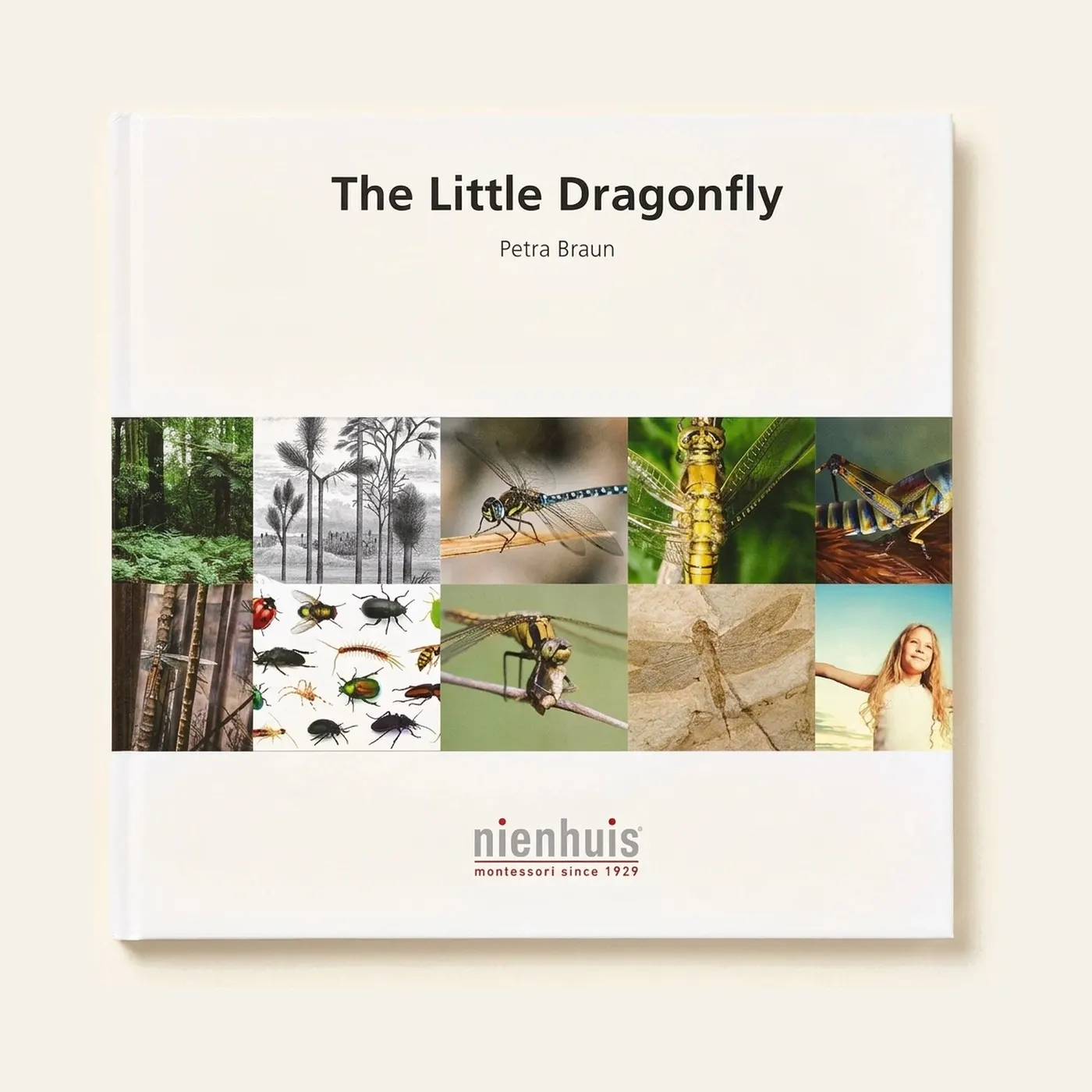 The Little Dragonfly: Montessori material | Faborino