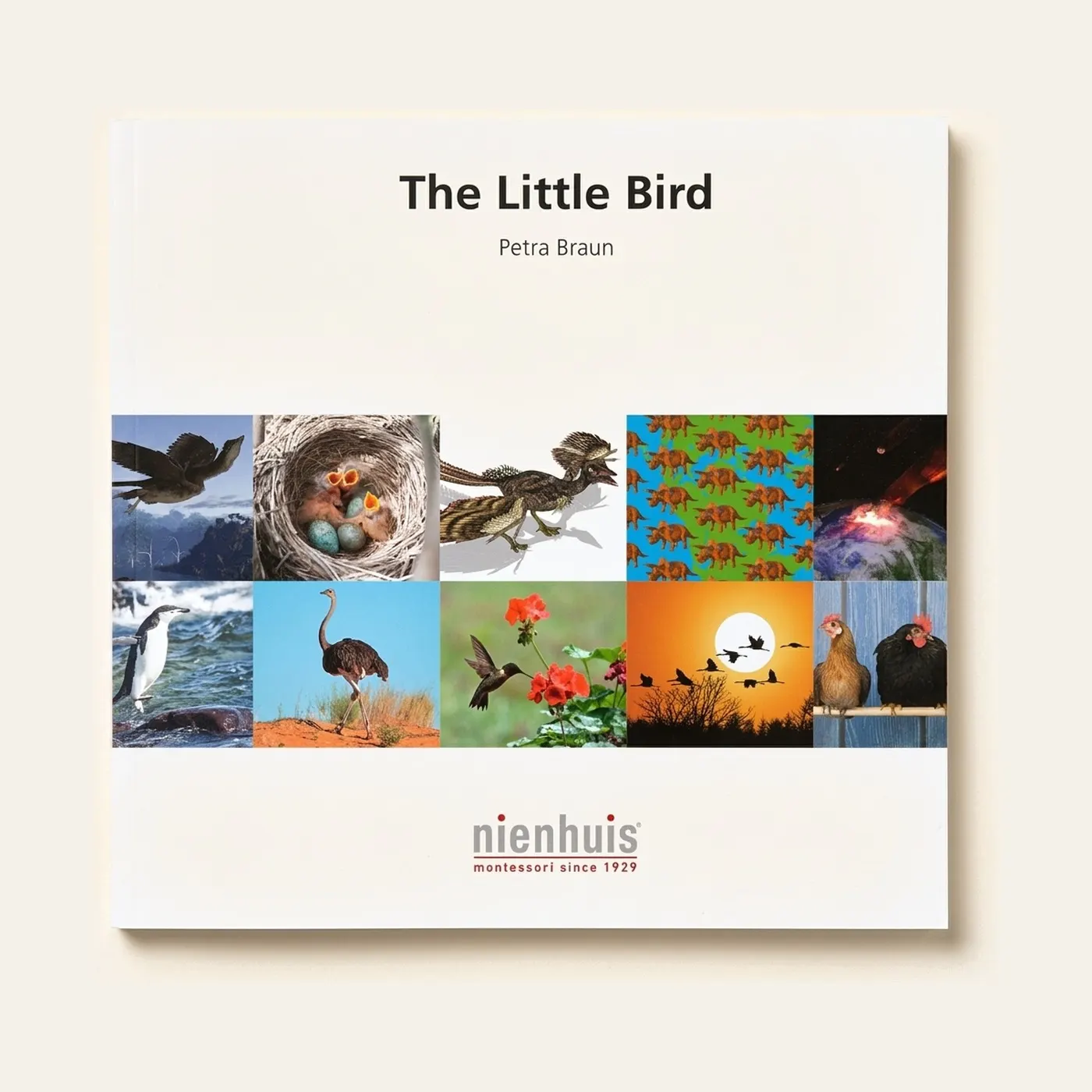 The Little Bird: Montessori material | Faborino