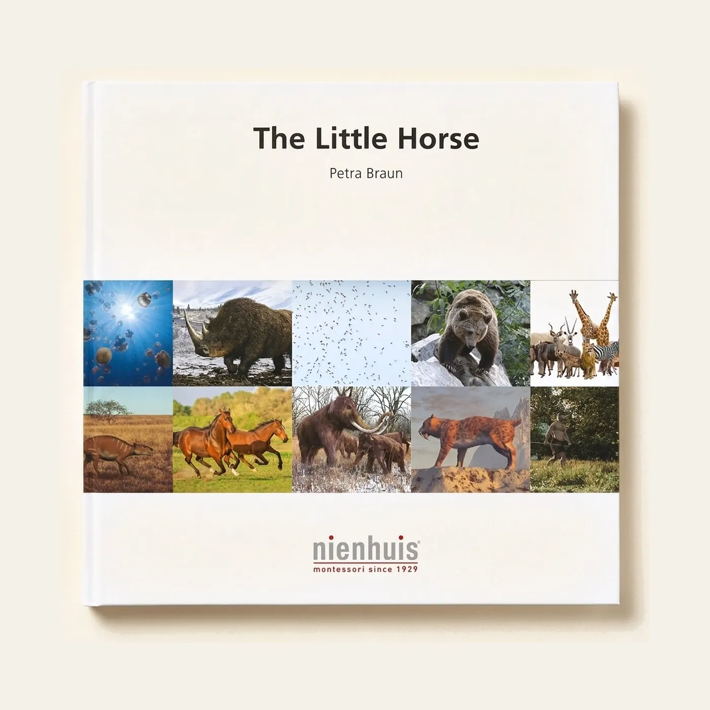 The Little Horse: Montessori material | Faborino