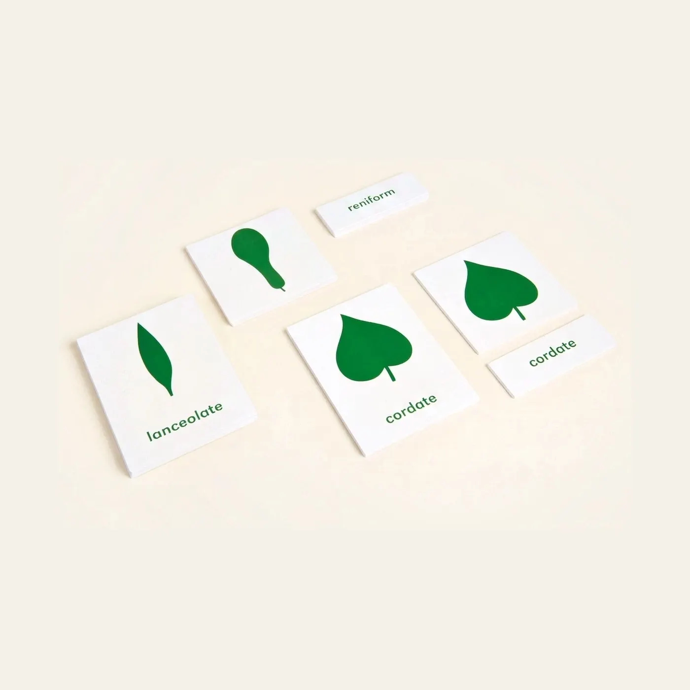 Botany Cabinet: Nomenclature Cards: Montessori material | Faborino