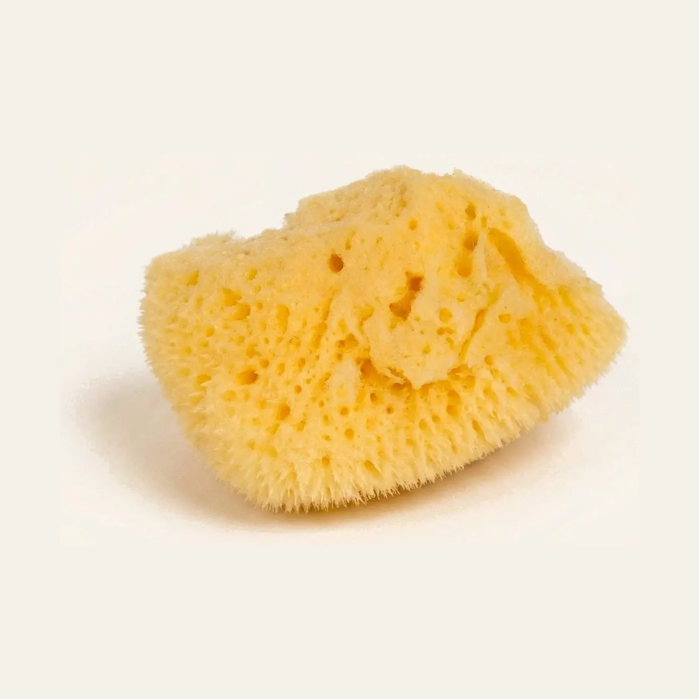Small Natural Sponge: Montessori material | Faborino