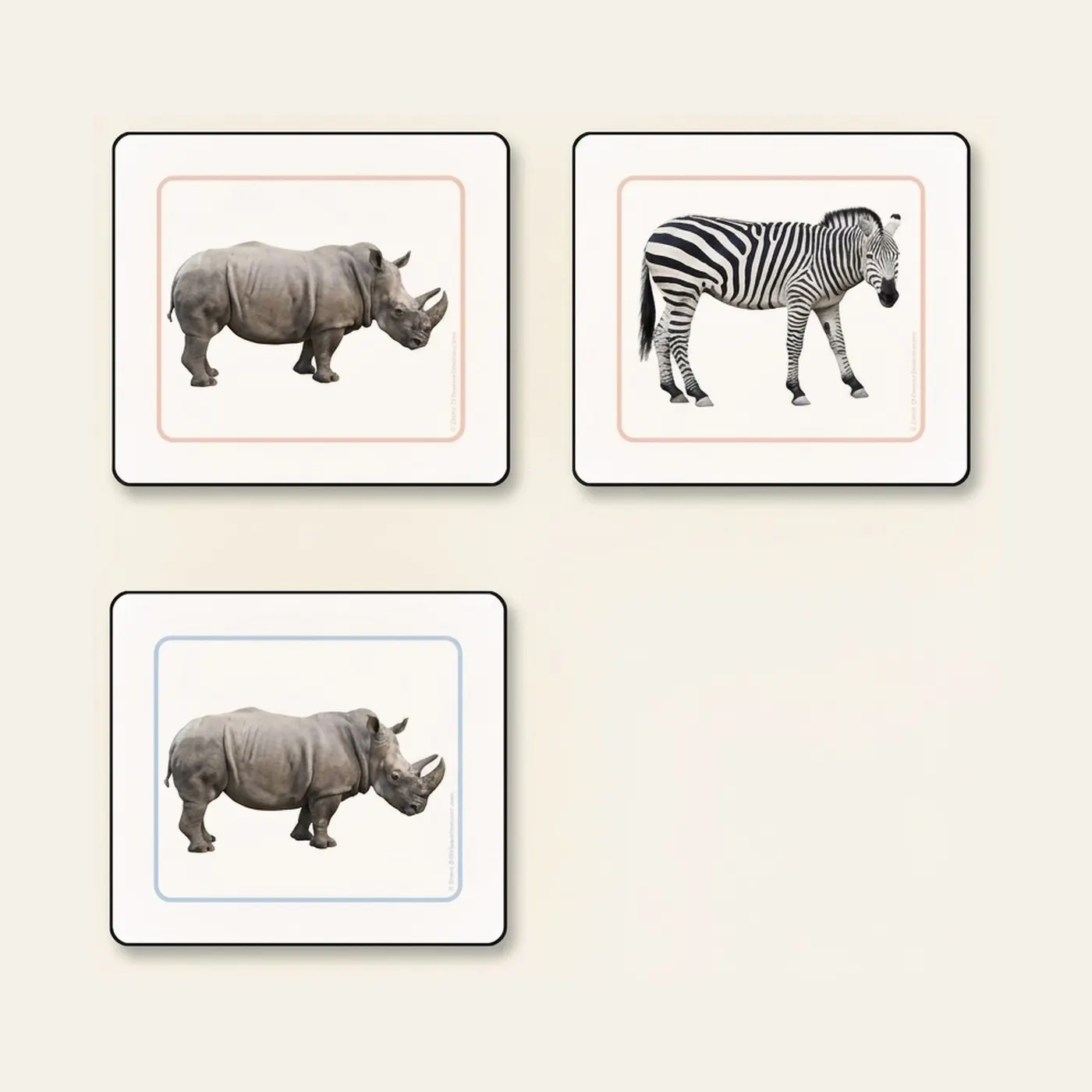 African Animals Matching Cards