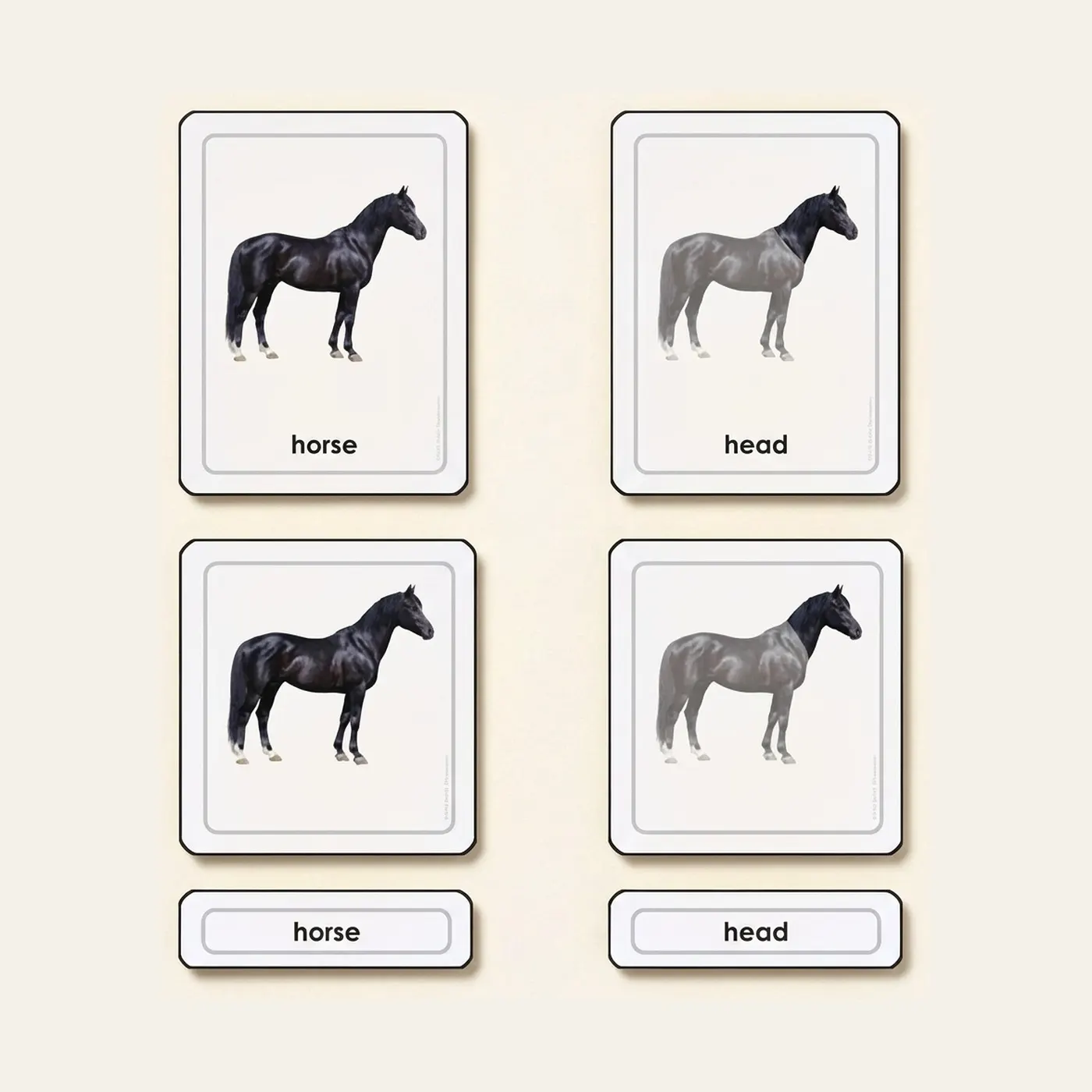 Parts Of A Horse (Mammals): Montessori material | Faborino