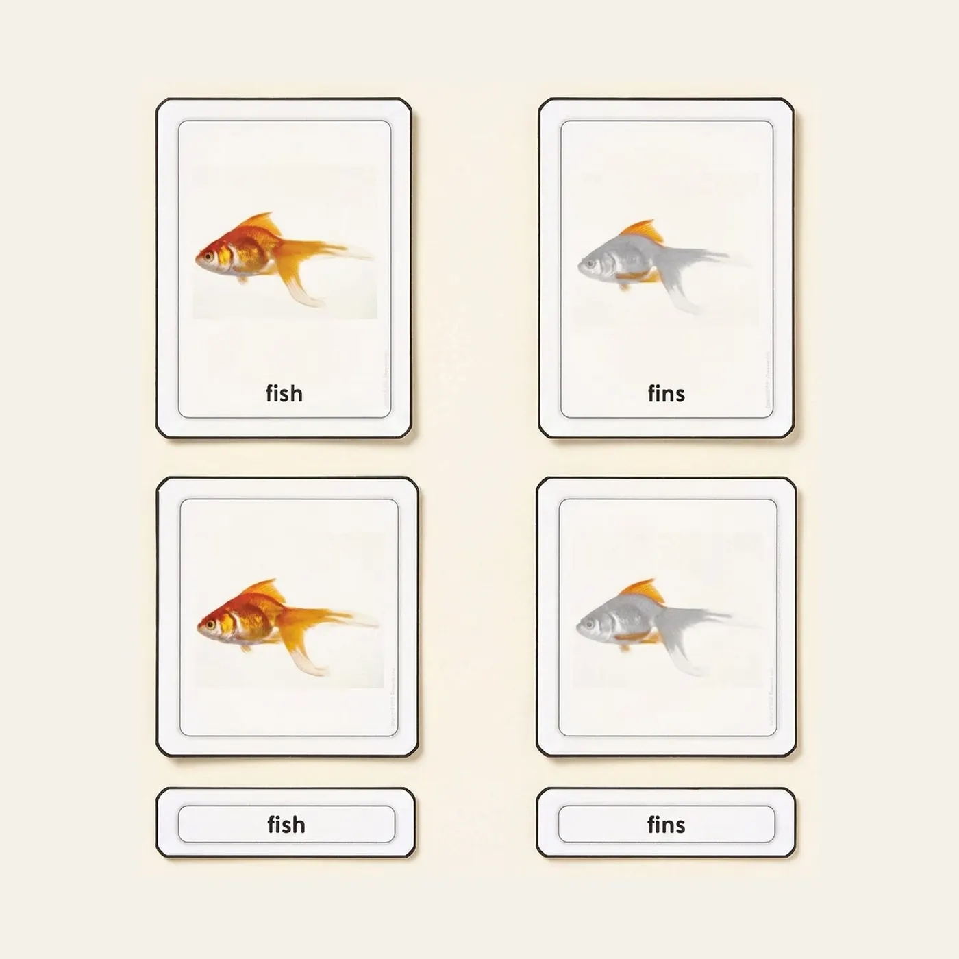 Parts Of A Fish (Osteichthyes): Montessori material | Faborino