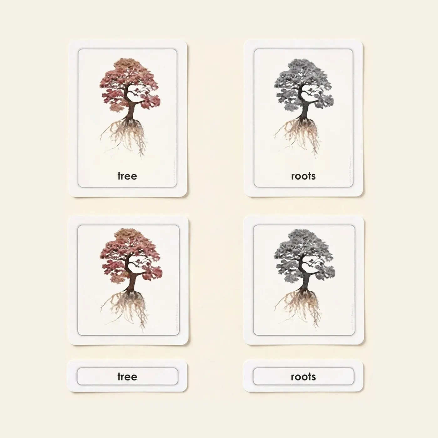 Parts Of A Tree: Montessori material | Faborino