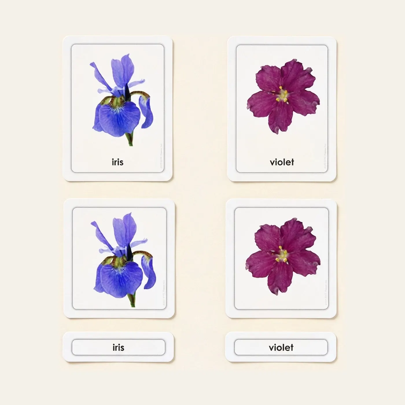 Flowers 3 Part Cards: Montessori material | Faborino
