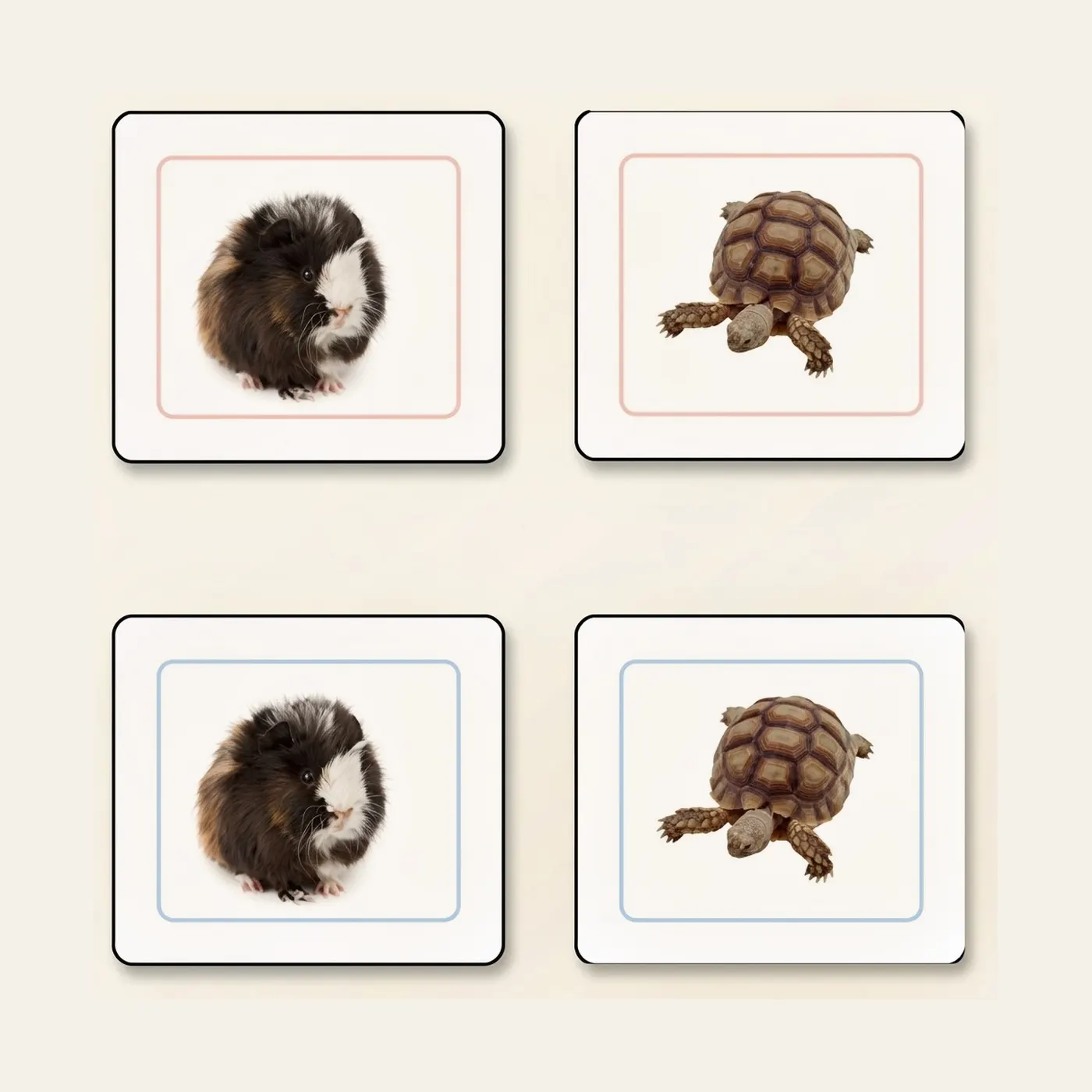 Pets Matching Cards: Montessori material | Faborino