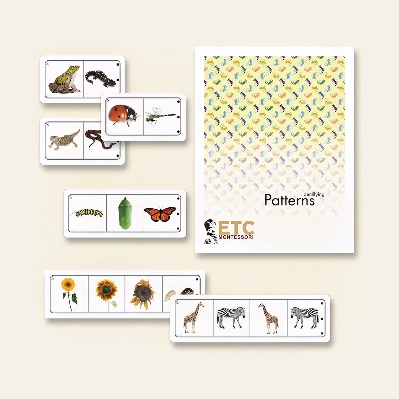 Looking For Patterns In Life Science: Montessori material | Faborino