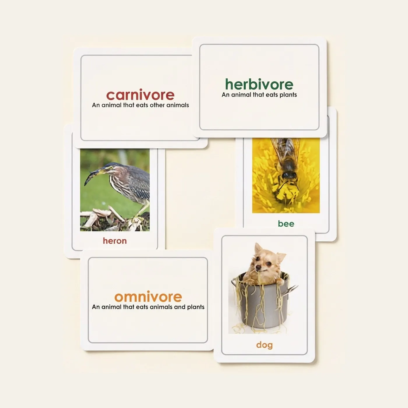 Carnivores, Herbivores & Omnivores: Montessori material | Faborino