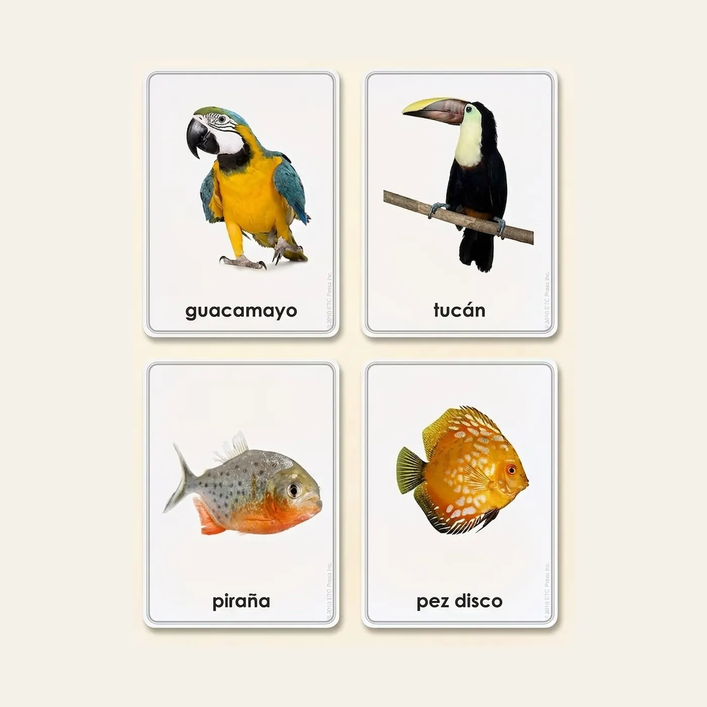 Animals Of The Seven Continents: Montessori material | Faborino