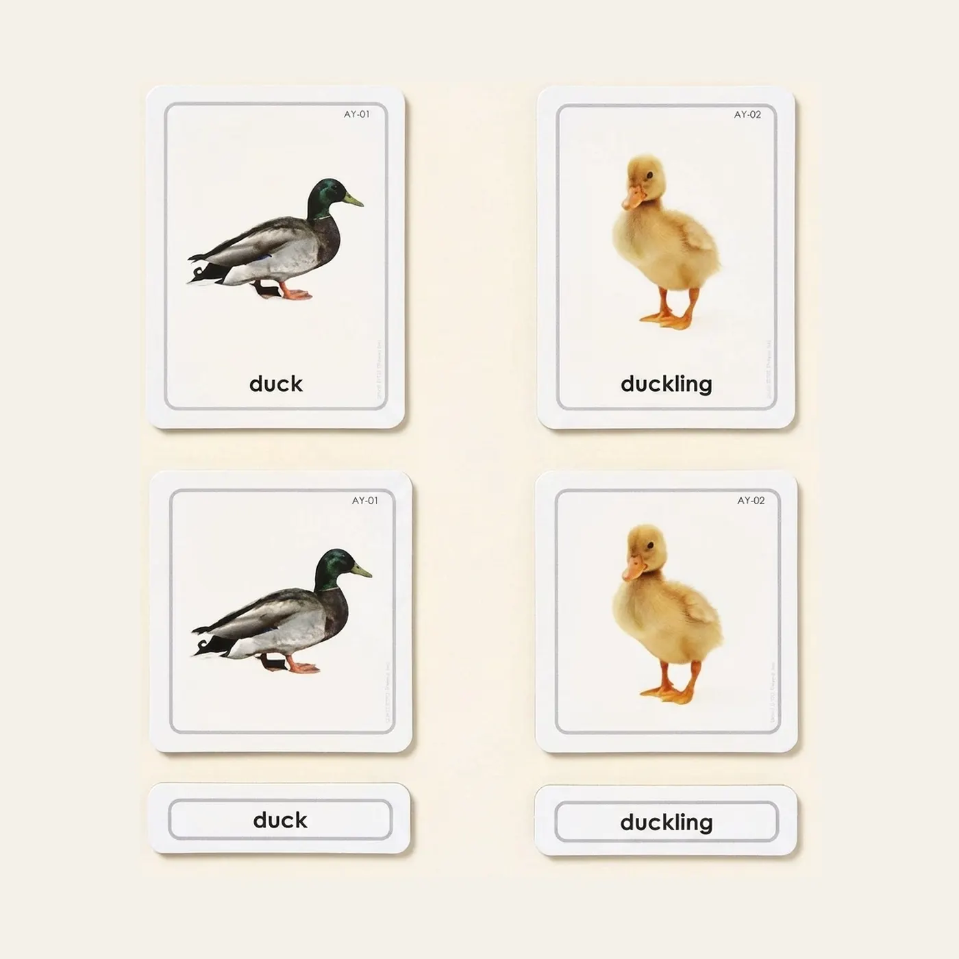 Animal Young 3 Part Cards: Montessori material | Faborino