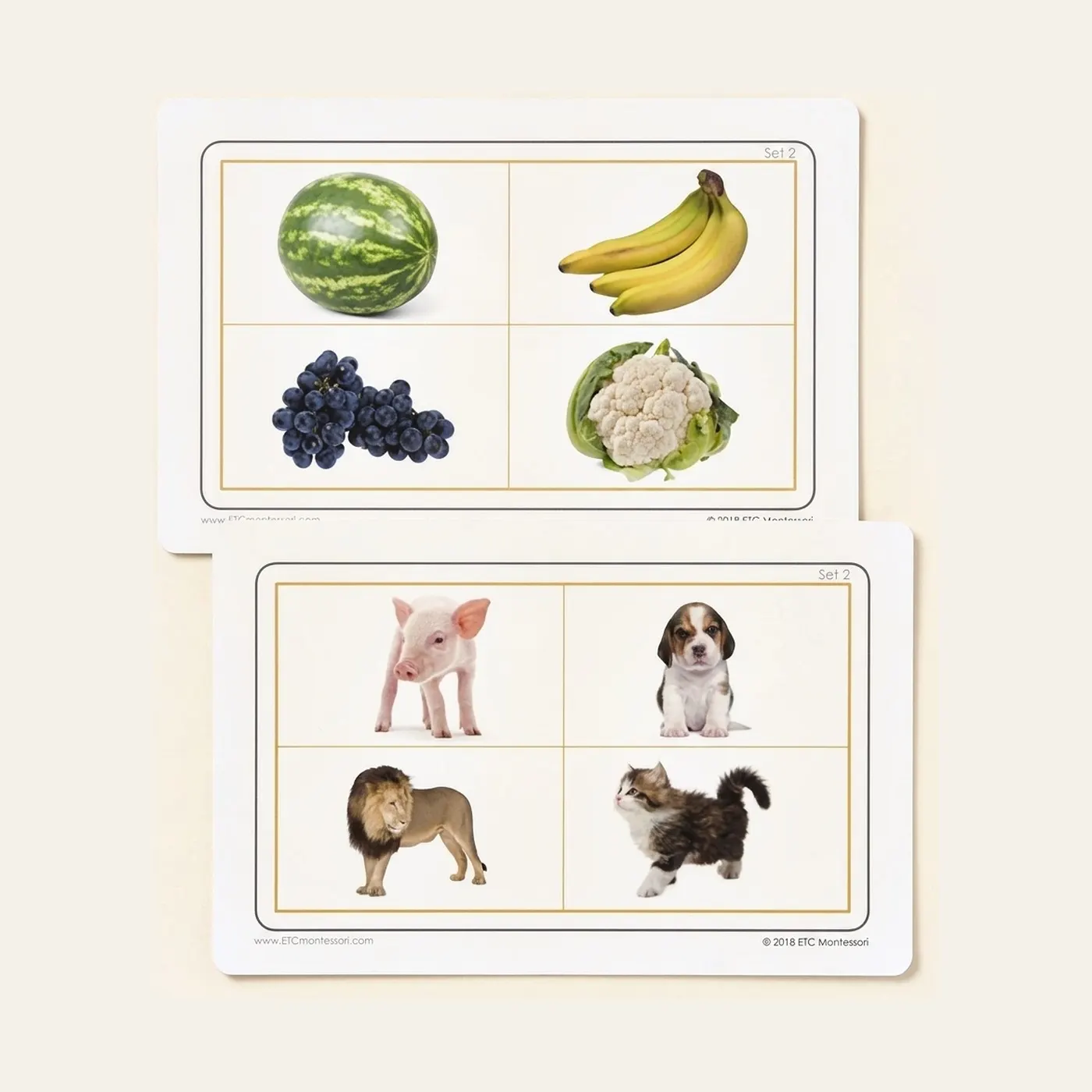 Same And Different: Montessori material | Faborino