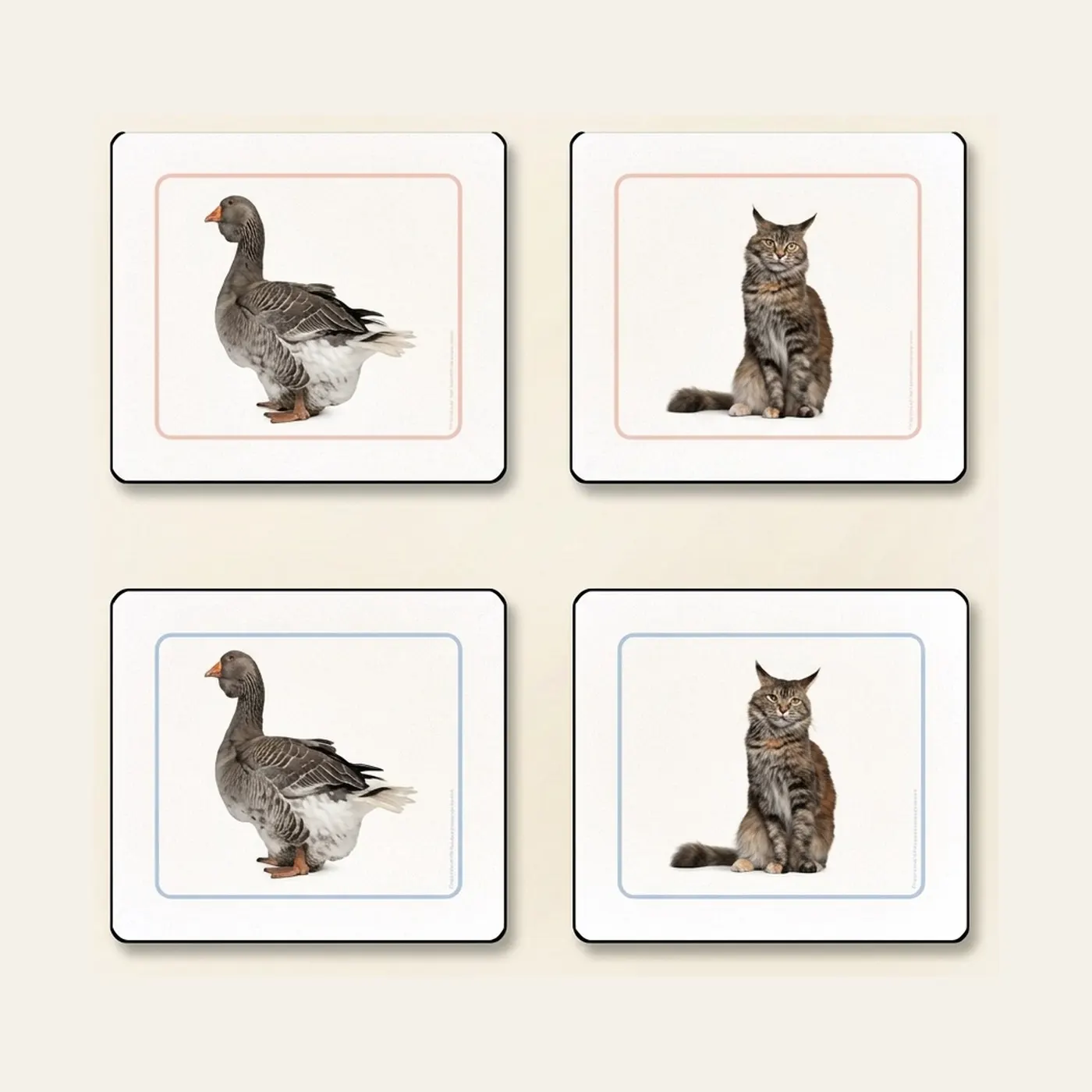 Domestic Animals Matching Work Cards (Spanish Edition): Montessori material | Faborino