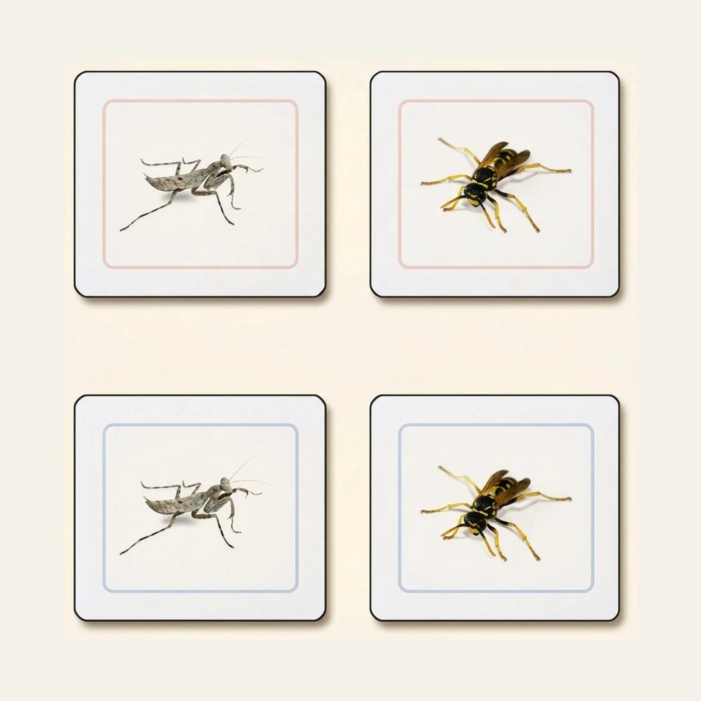 Insectos Trabajo De Emparejar (Spanish Edition): Montessori material | Faborino