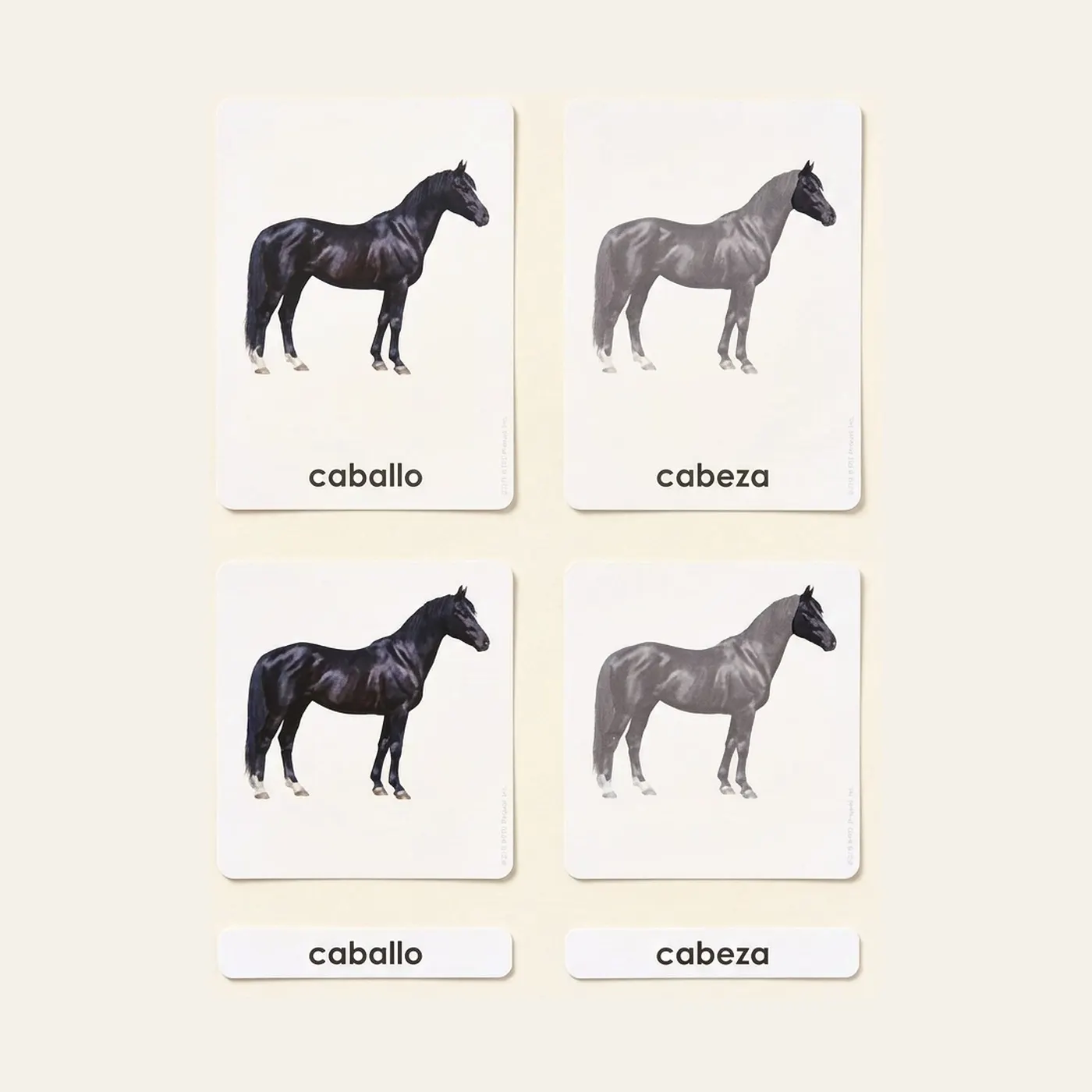 Partes Del Caballo (Spanish Edition): Montessori material | Faborino