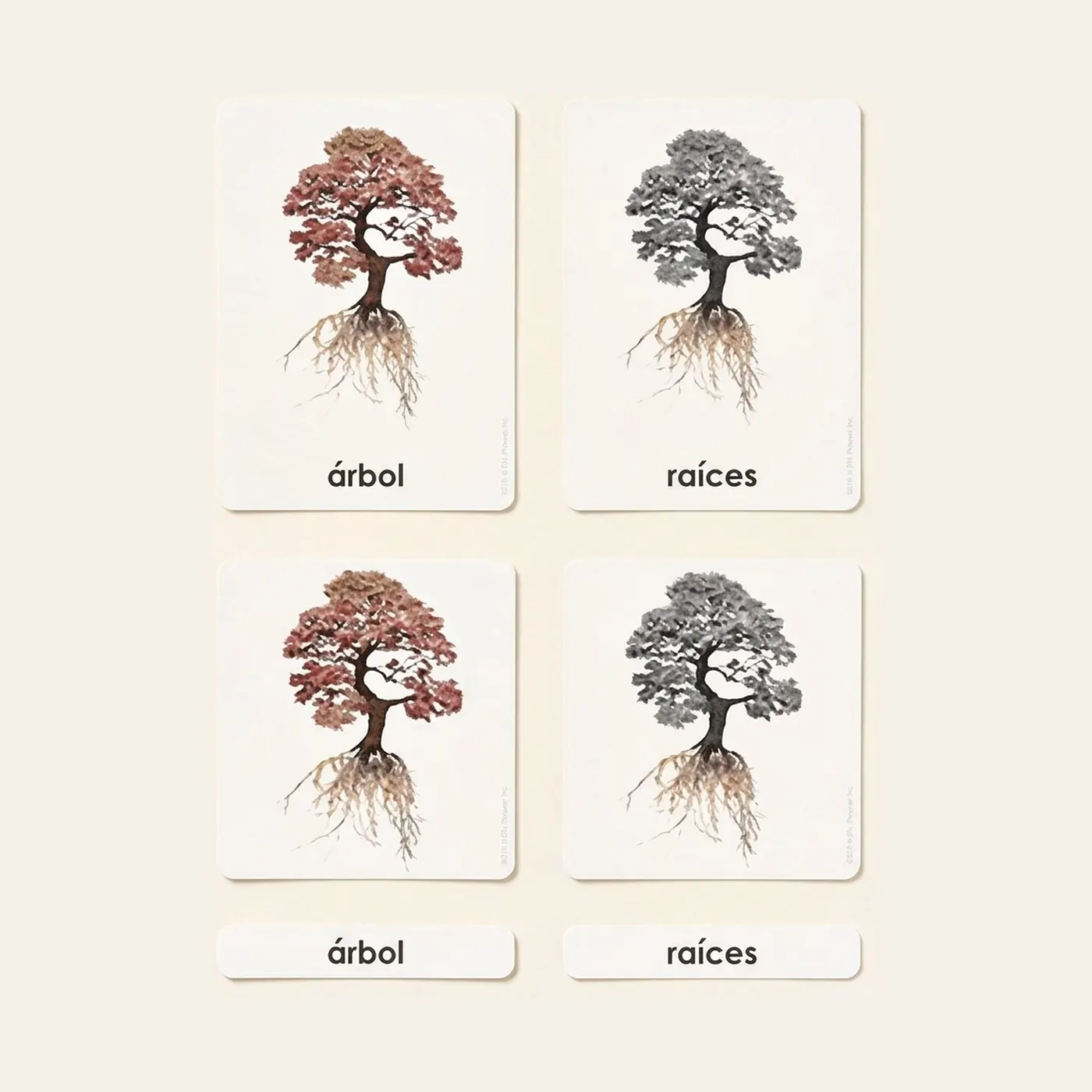 Parts of the Tree: Botany Cards (Spanish Edition): Montessori material | Faborino