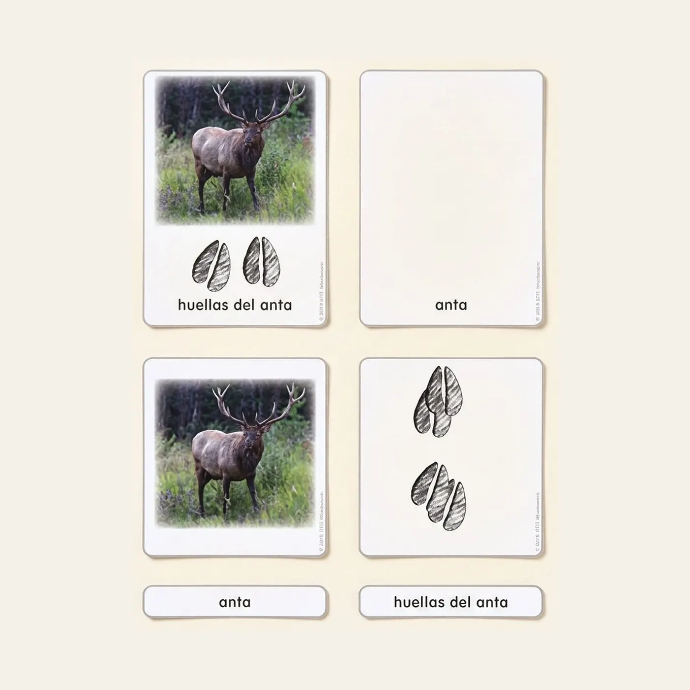 North American Animal Tracks: Activity Cards (Spanish Edition): Montessori material | Faborino