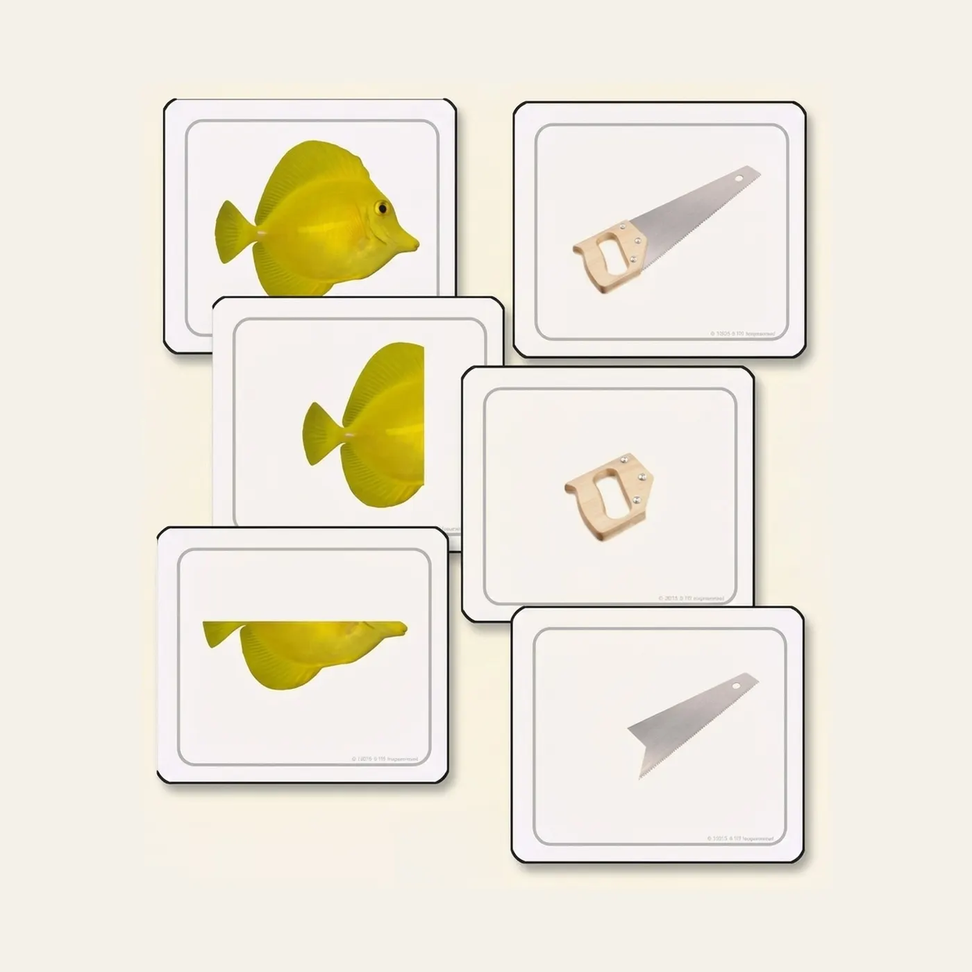 Partes De Lo Entero (Spanish Edition): Montessori material | Faborino