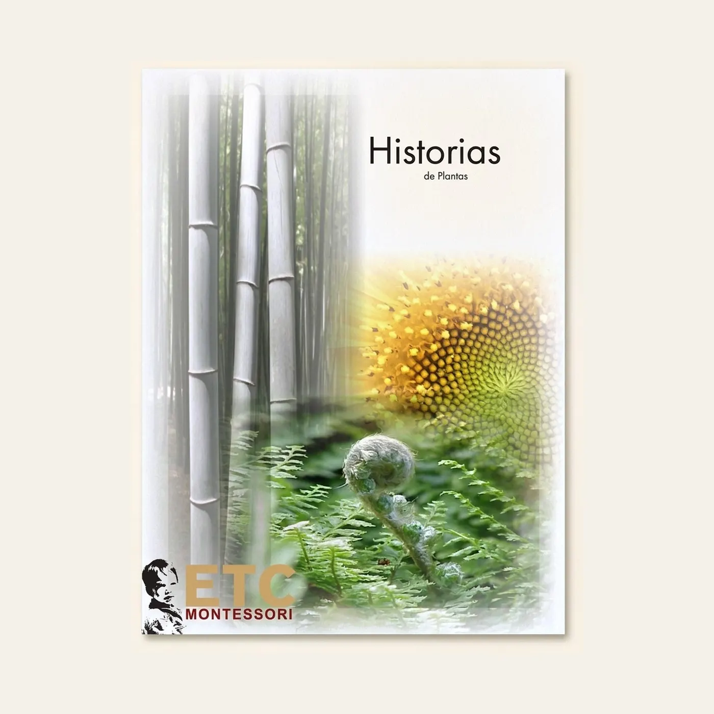 Plant Stories: Elementary Botany: Montessori material | Faborino